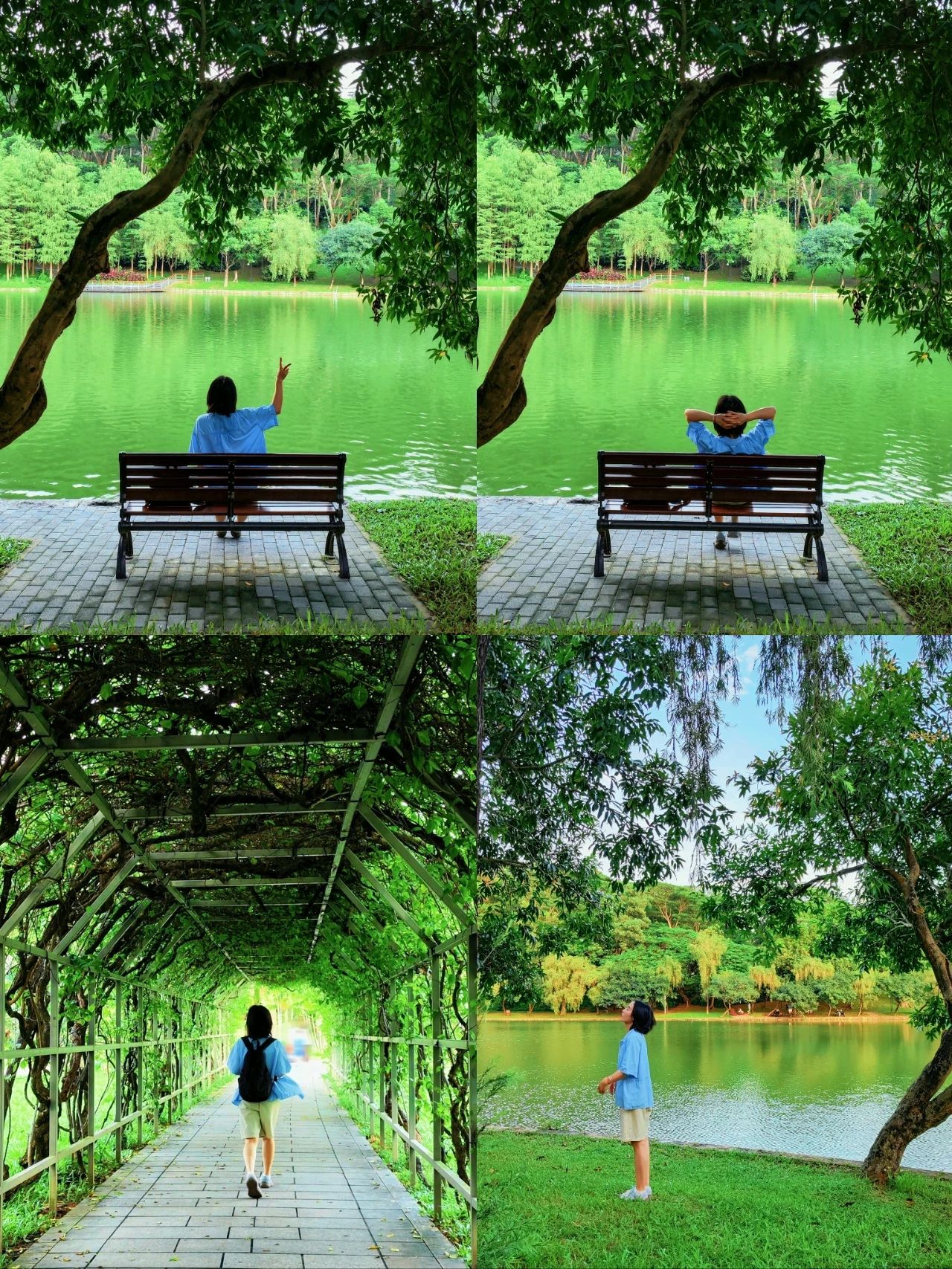 Shenzhen Treasure photo place! Lotus Lake hidden in the city