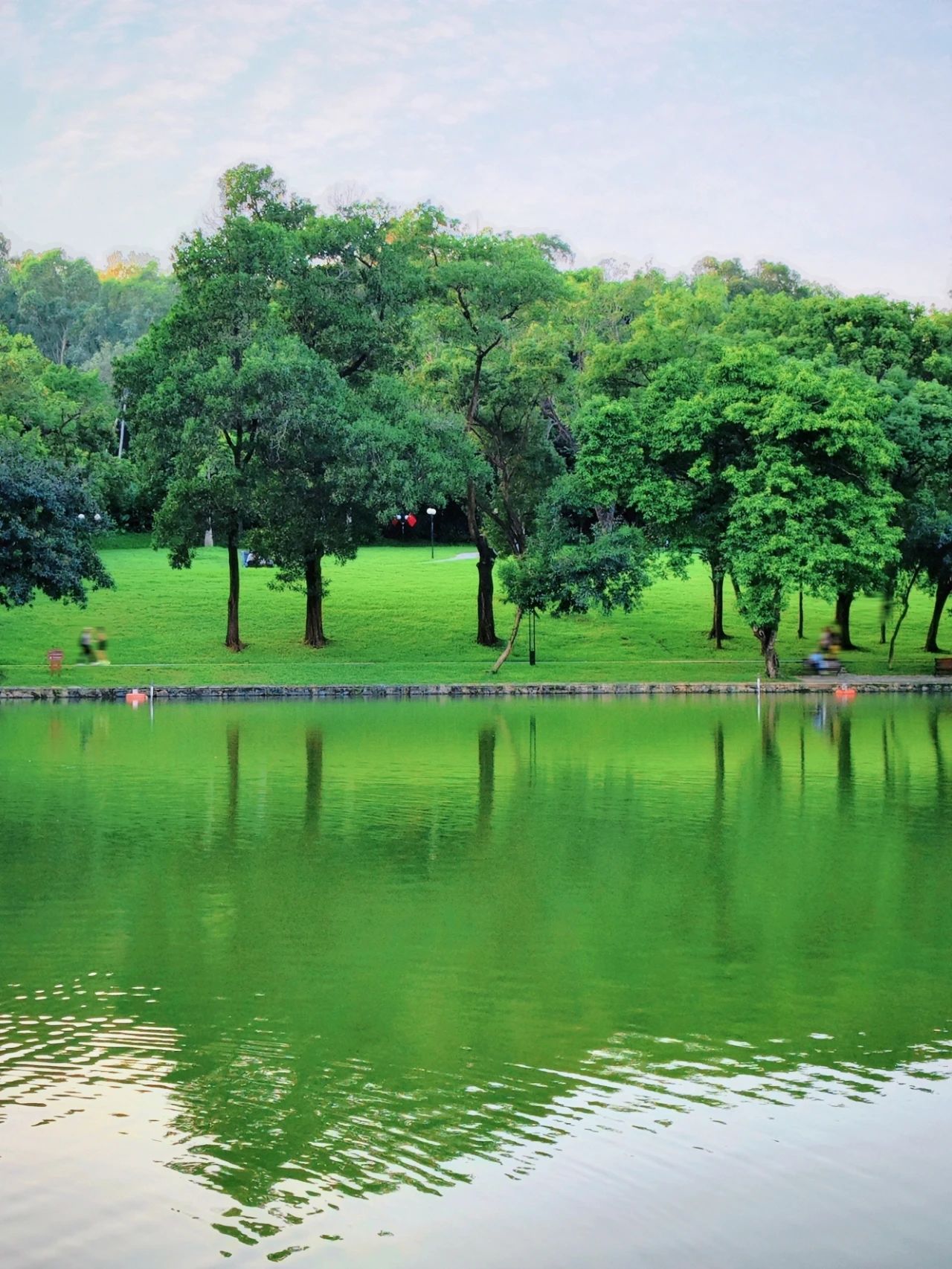 Shenzhen Treasure photo place! Lotus Lake hidden in the city