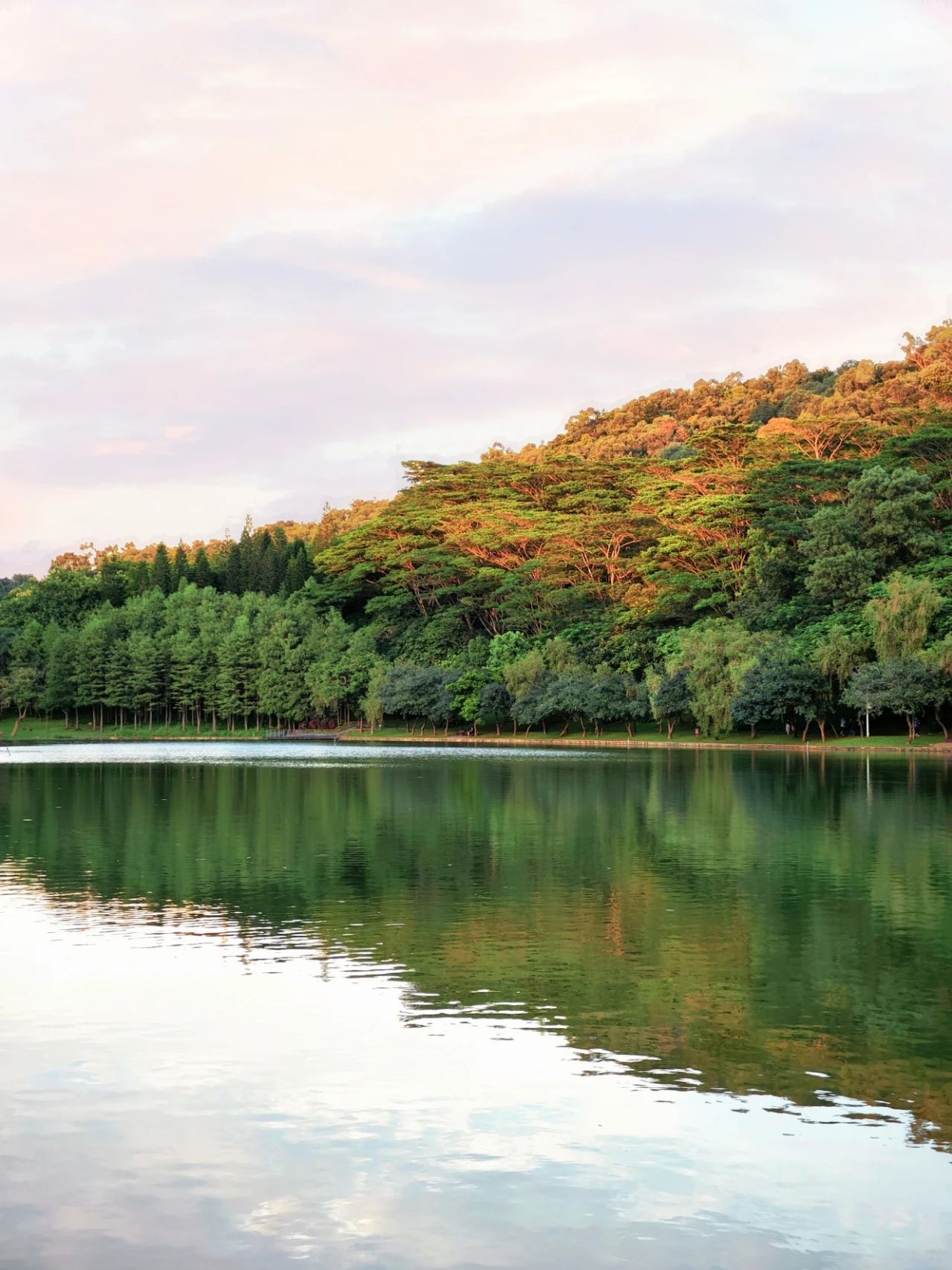 Shenzhen Treasure photo place! Lotus Lake hidden in the city