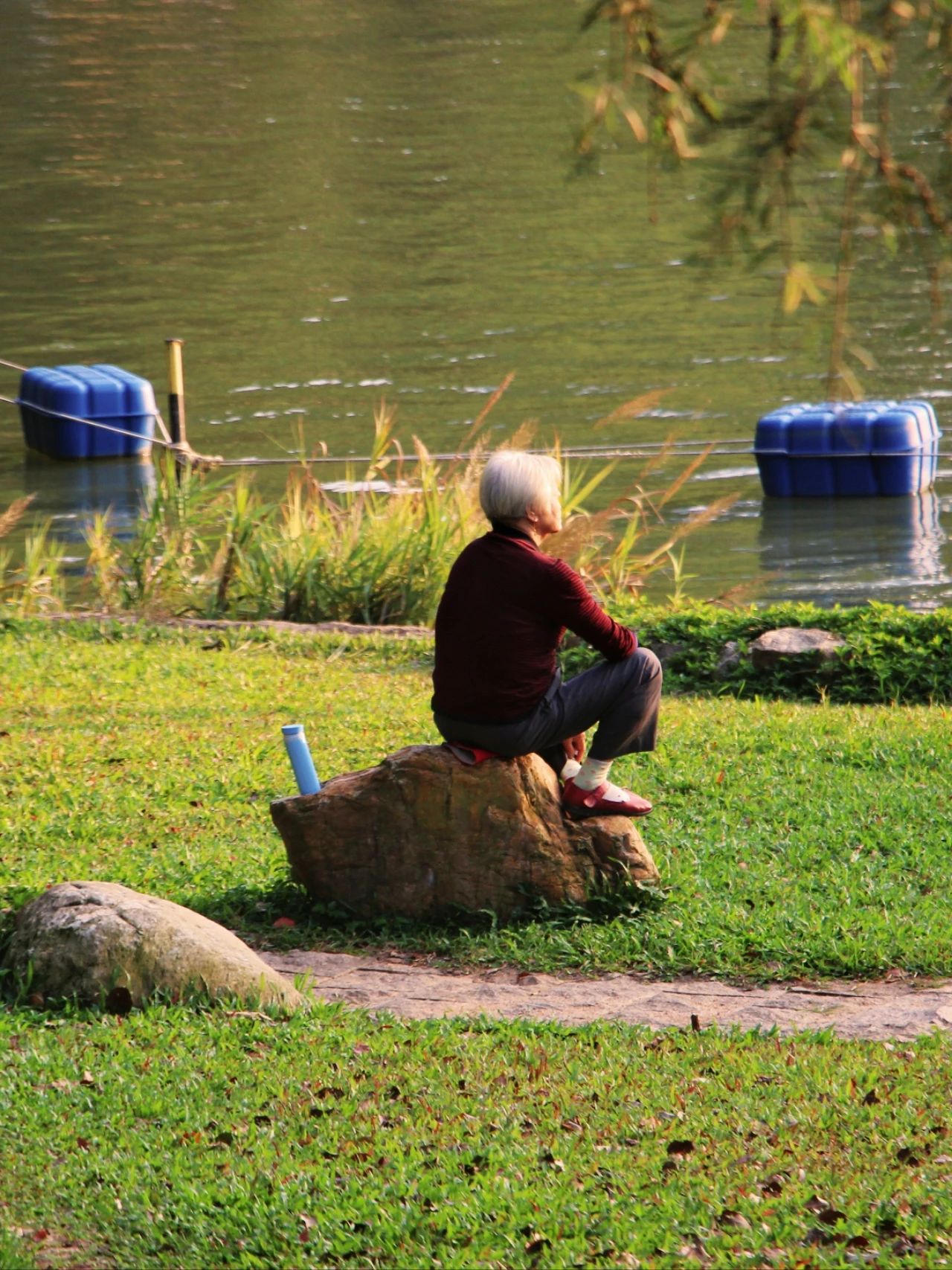 Shenzhen Treasure photo place! Lotus Lake hidden in the city