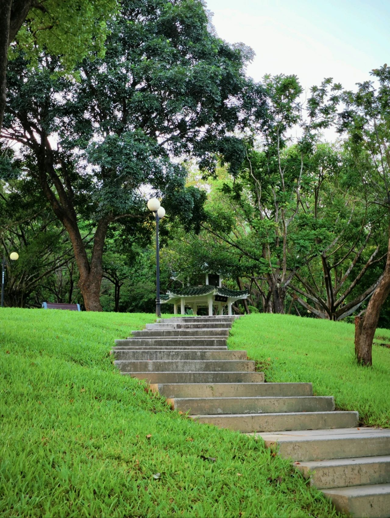 Shenzhen Treasure photo place! Lotus Lake hidden in the city