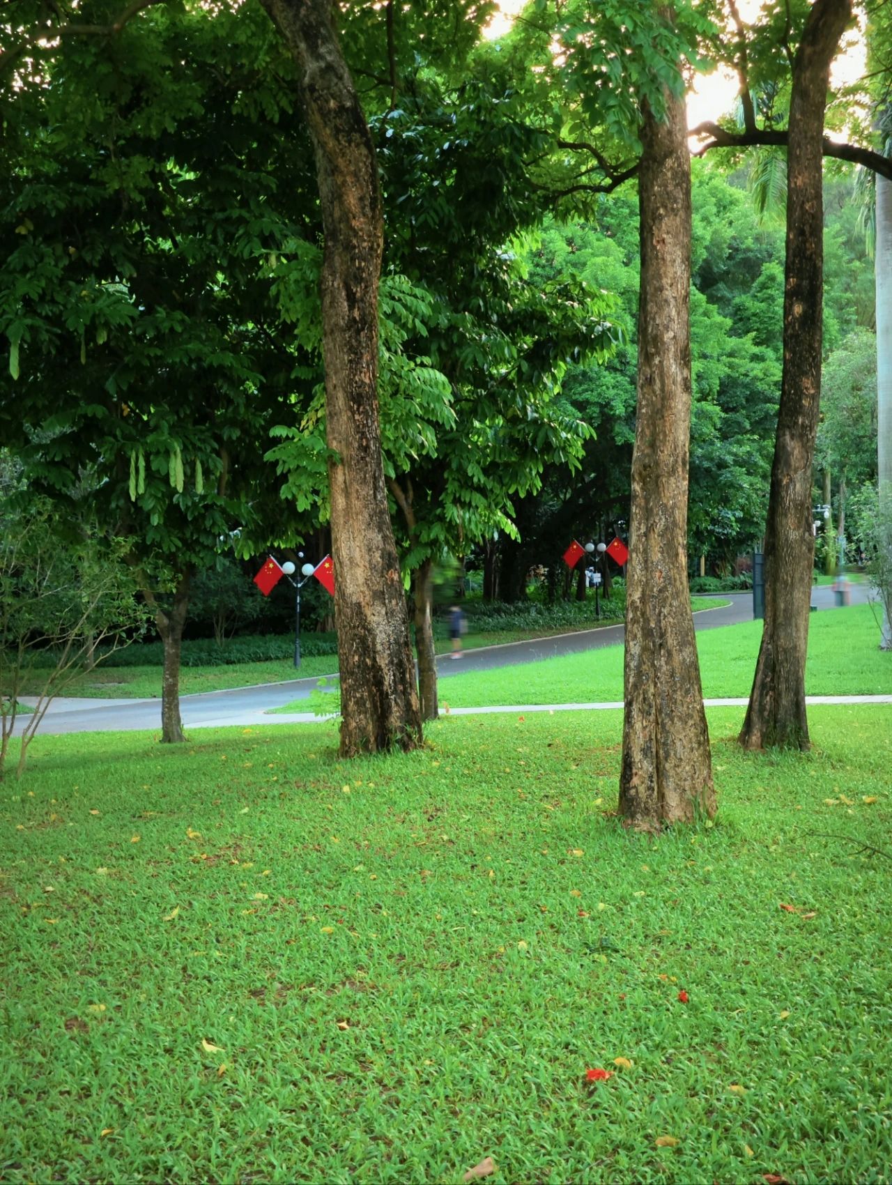 Shenzhen Treasure photo place! Lotus Lake hidden in the city