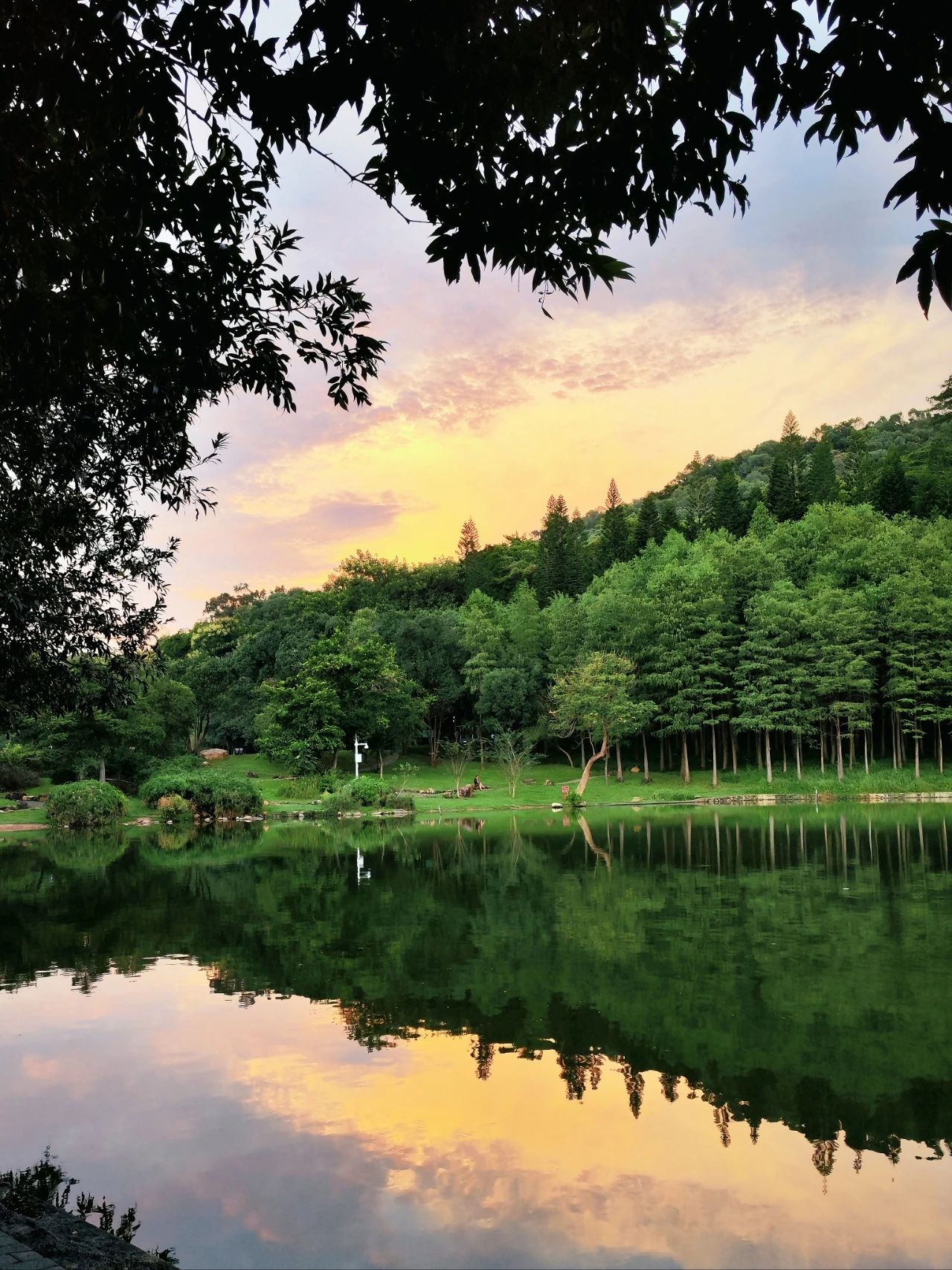 Shenzhen Treasure photo place! Lotus Lake hidden in the city