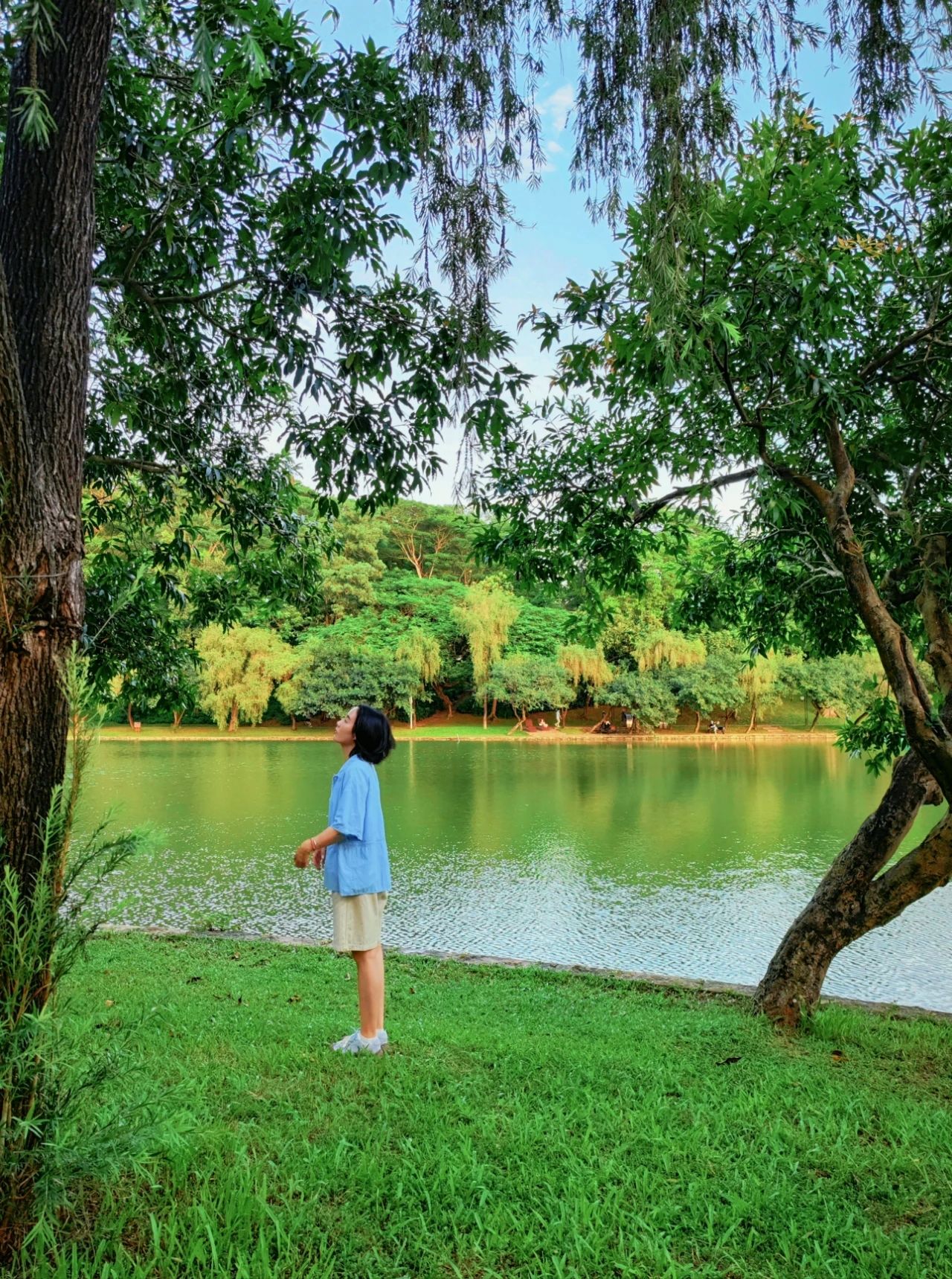 Shenzhen Treasure photo place! Lotus Lake hidden in the city