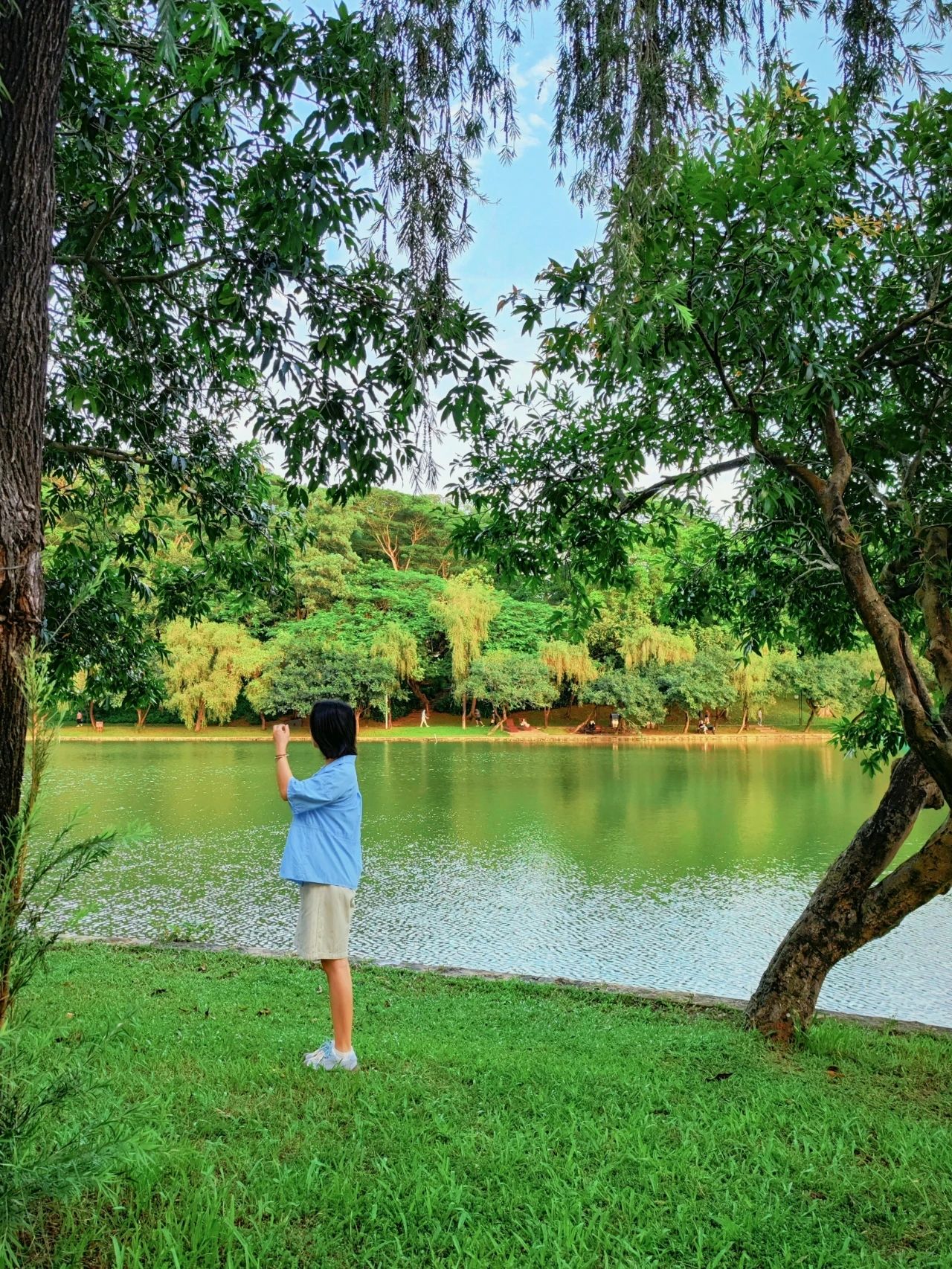 Shenzhen Treasure photo place! Lotus Lake hidden in the city