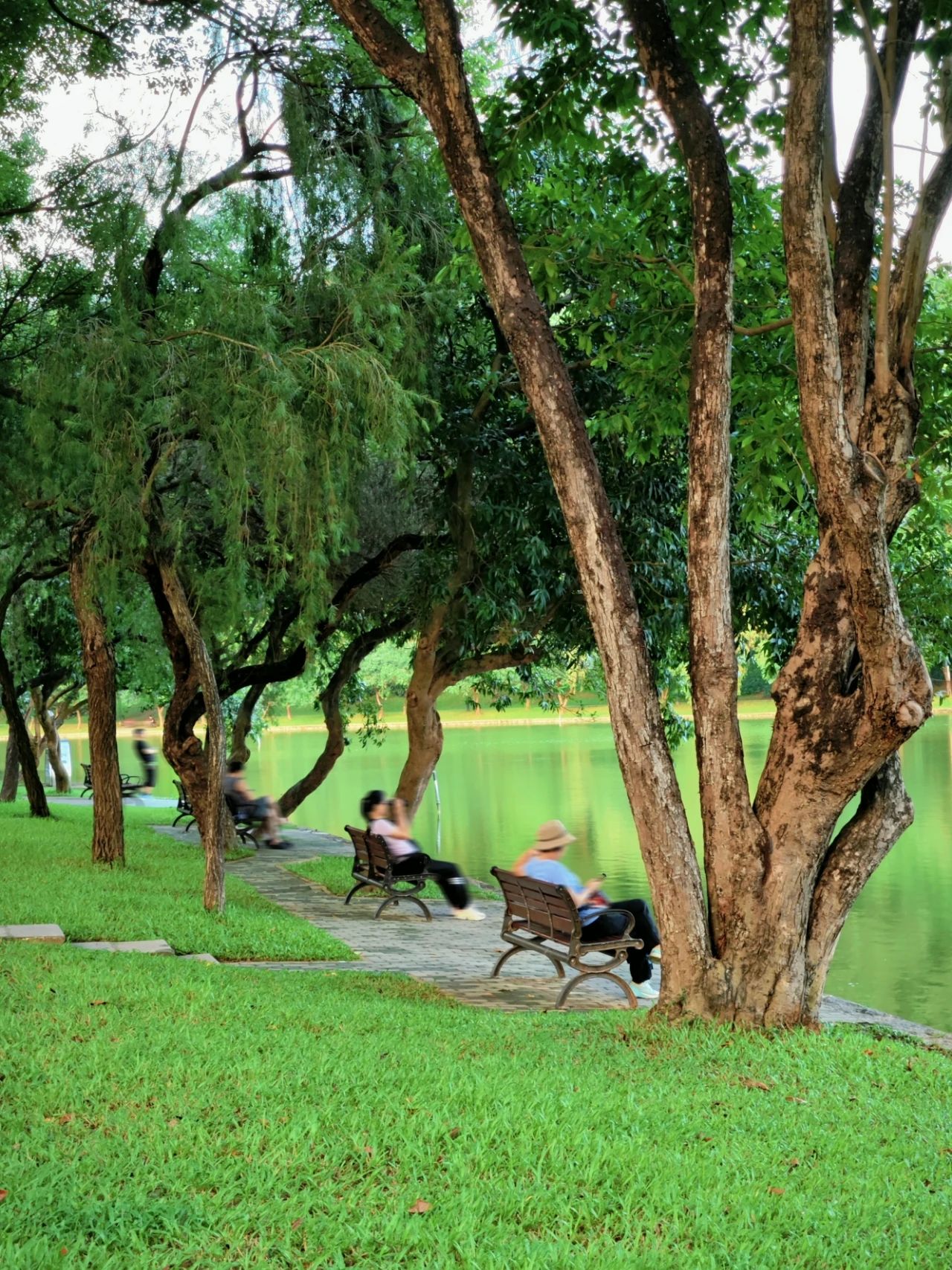 Shenzhen Treasure photo place! Lotus Lake hidden in the city