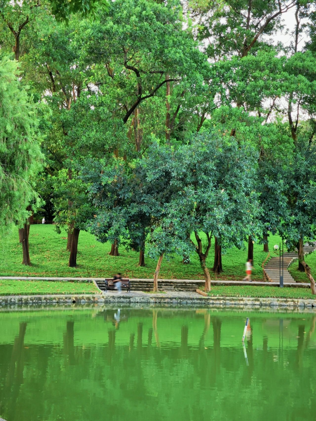 Shenzhen Treasure photo place! Lotus Lake hidden in the city