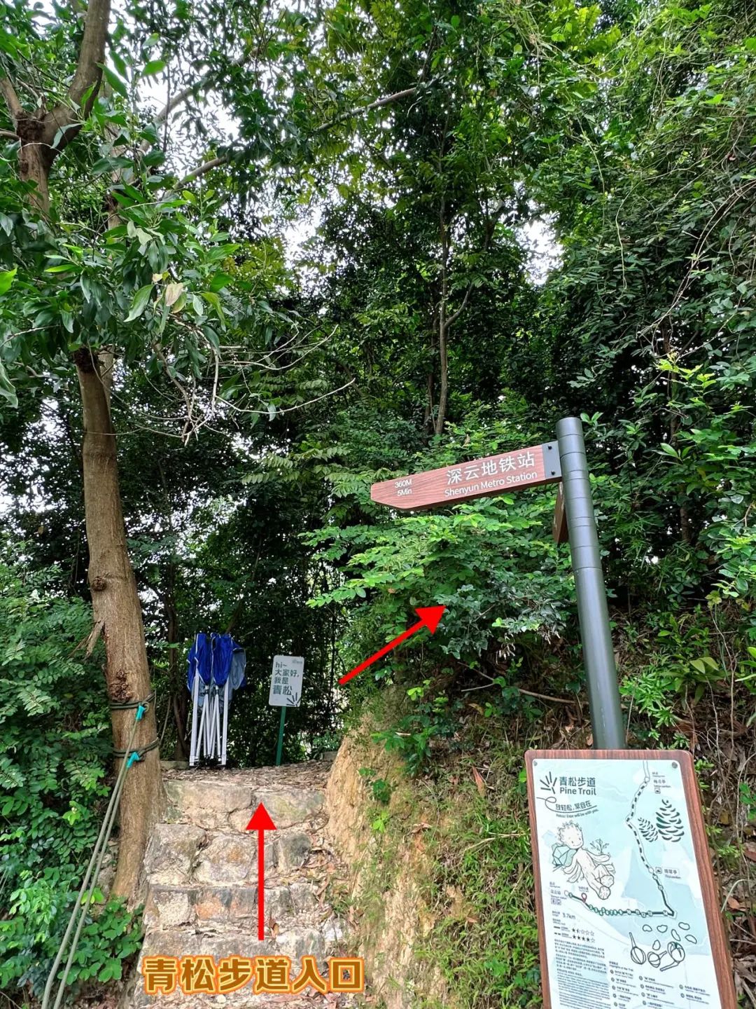 New on Tonglang Mountain! 