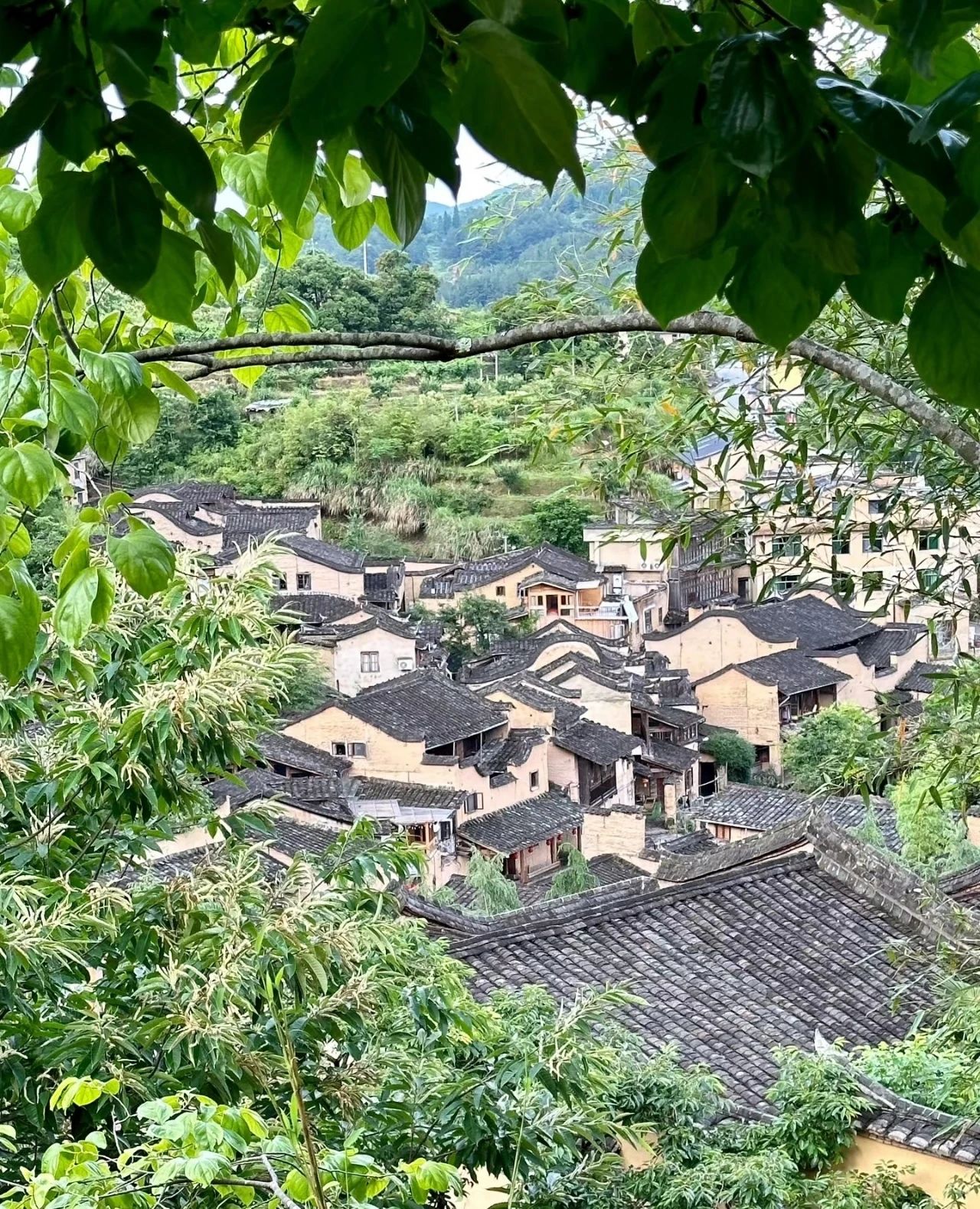 Quiet and peaceful ancient village--Longtan Village