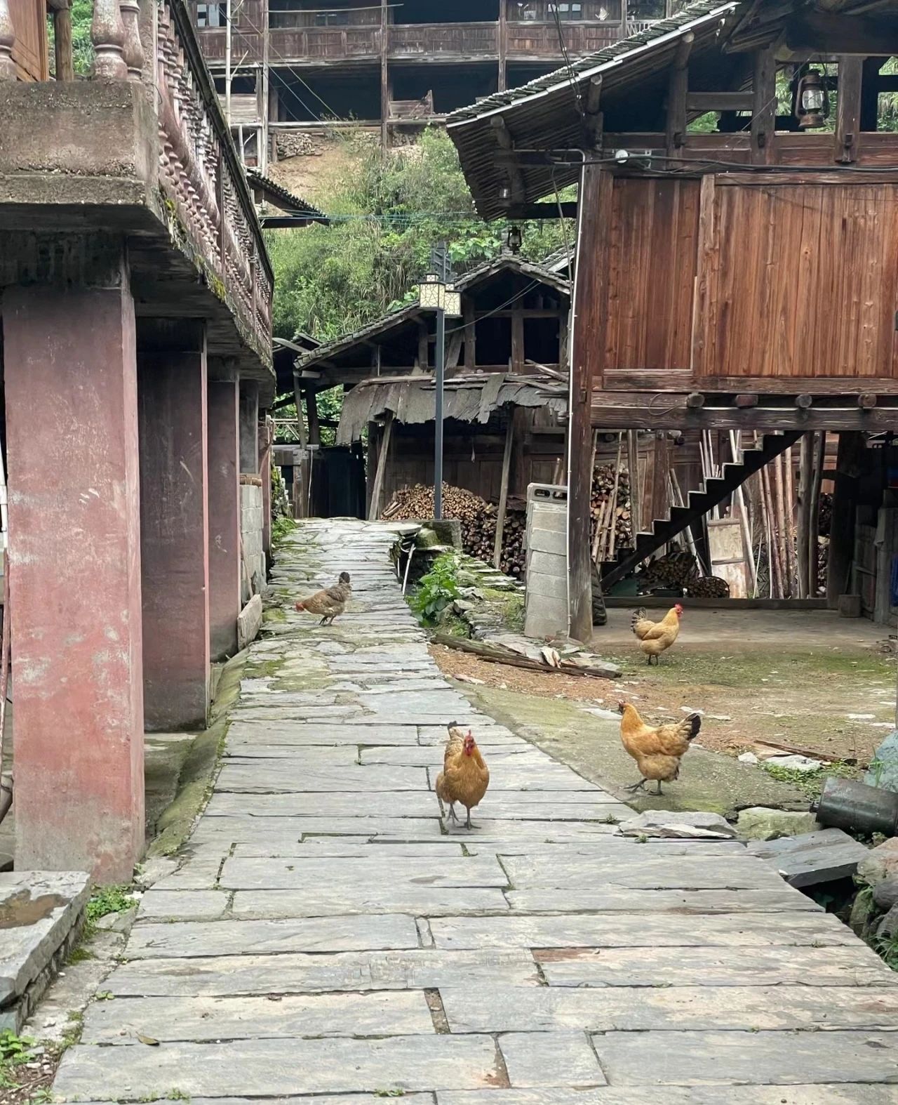 Quiet and peaceful Dishang Miao Village