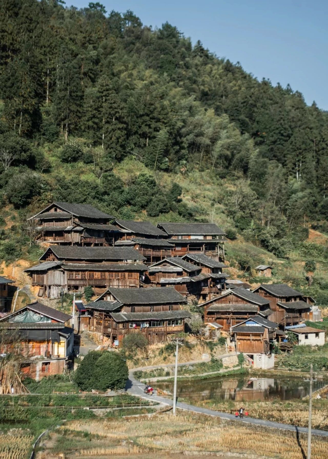 Quiet and peaceful Dishang Miao Village