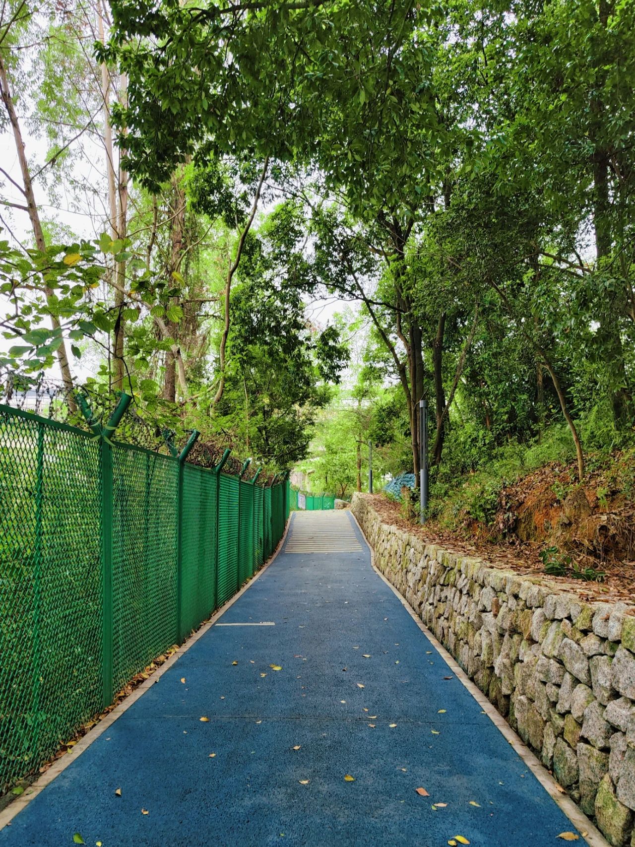 Sanlian Country Park, Shenzhen's treasured greenway to the secret forest