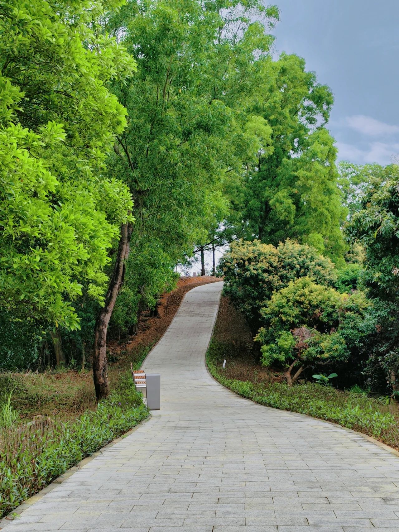 Sanlian Country Park, Shenzhen's treasured greenway to the secret forest