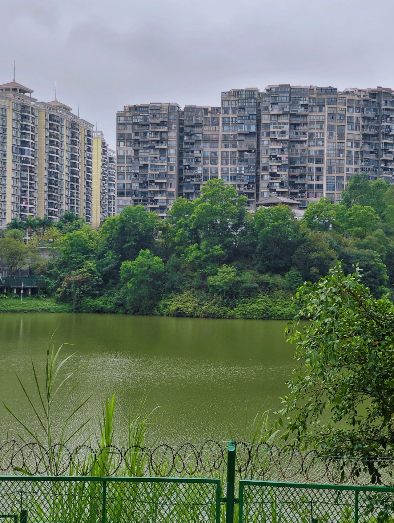 Sanlian Country Park, Shenzhen's treasured greenway to the secret forest