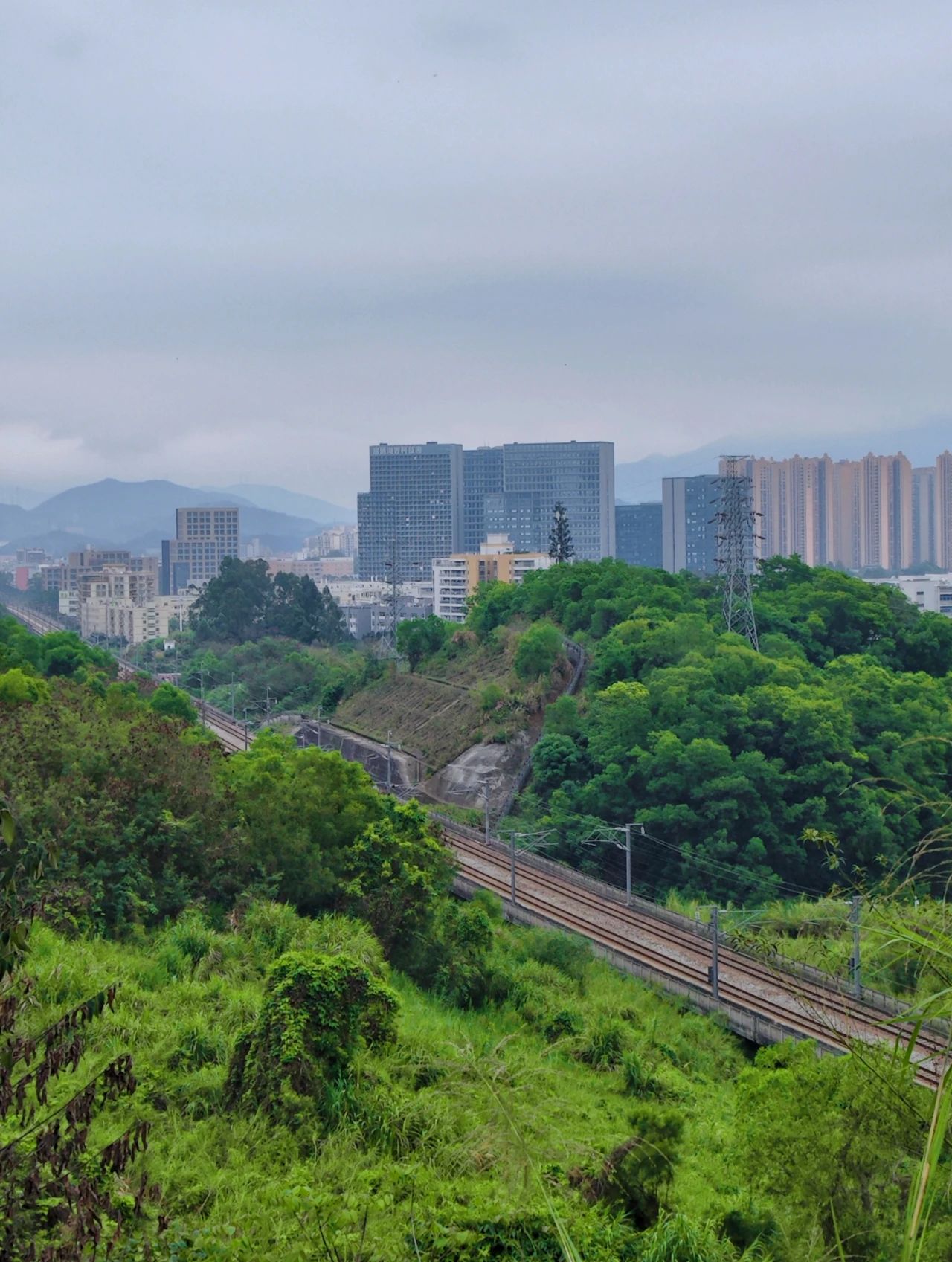 Sanlian Country Park, Shenzhen's treasured greenway to the secret forest