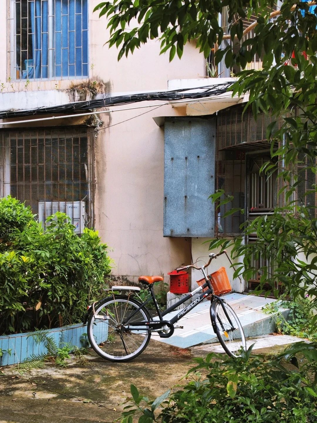 Lingzhi New Village, 80's nostalgic old village, too healing!