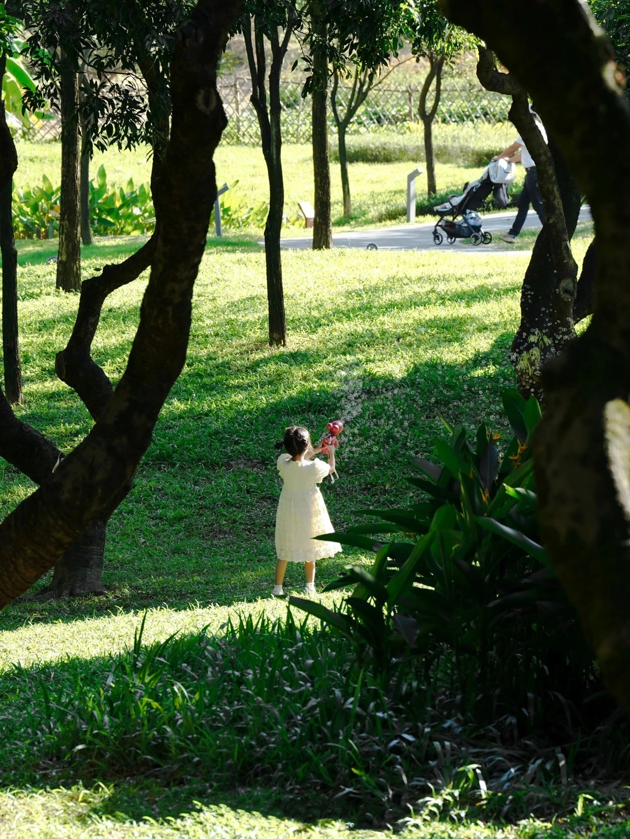 Shenzhen Xili Ecological Park, the National Day limited golden flower sea!