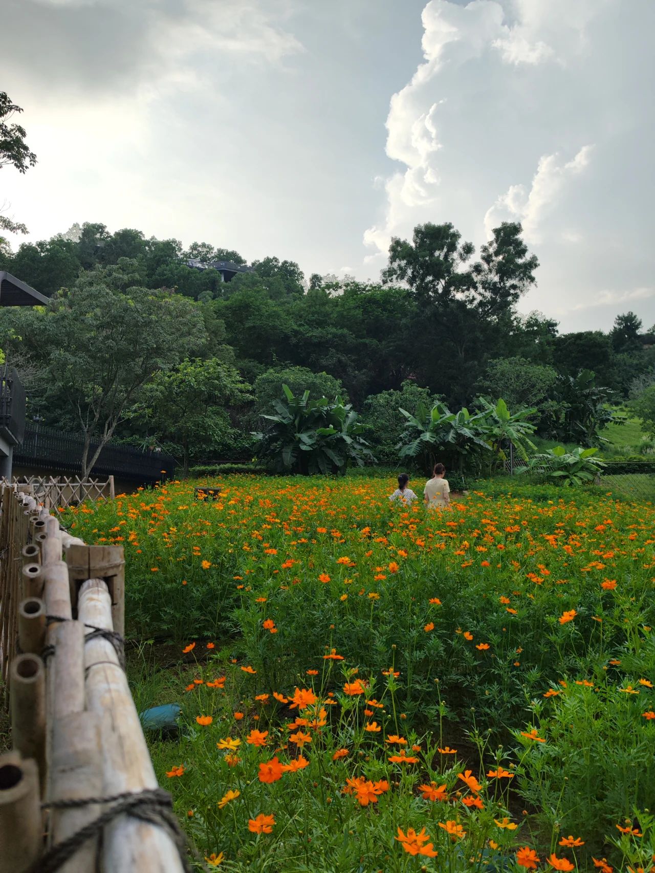 Xili Ecological Park, relax and walk the baby good place to go