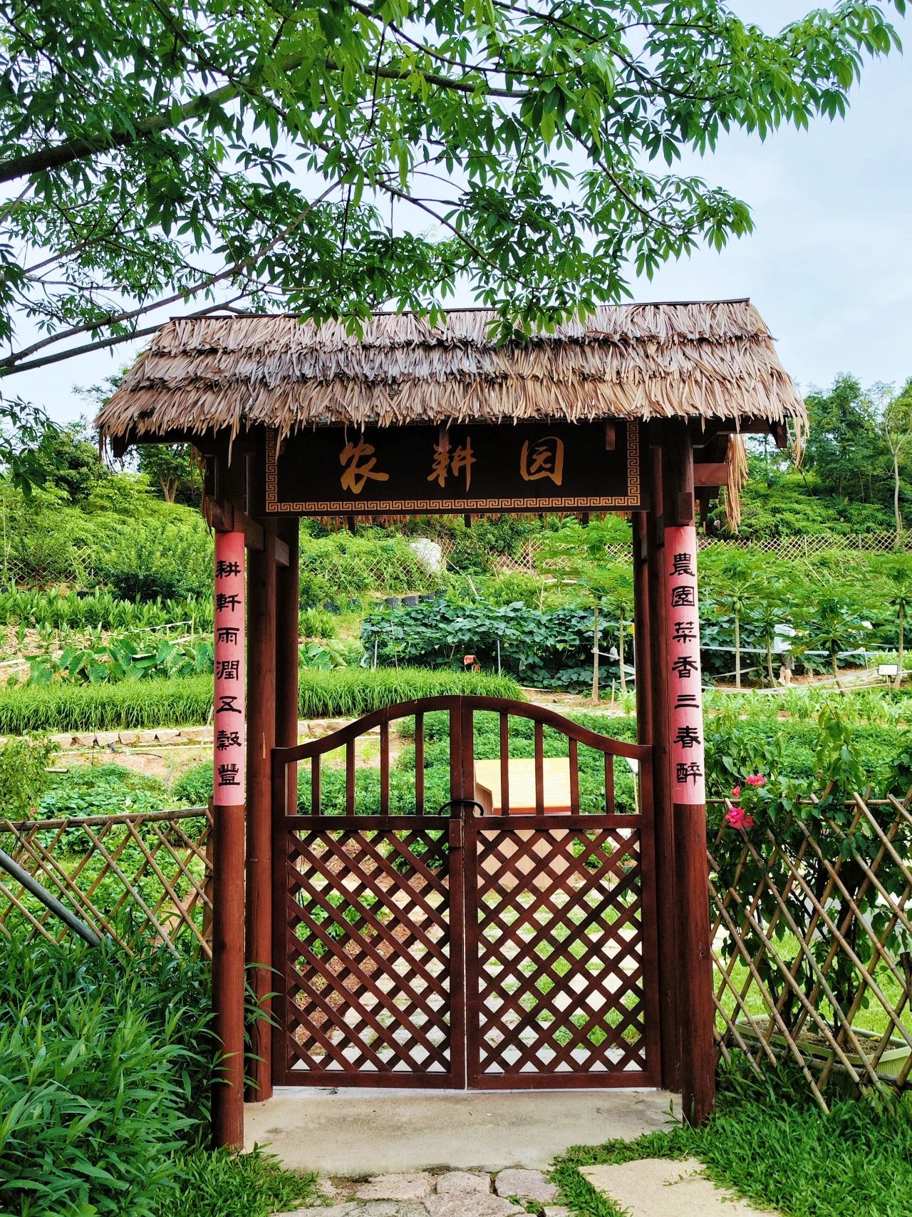 Xili Ecological Park, relax and walk the baby good place to go