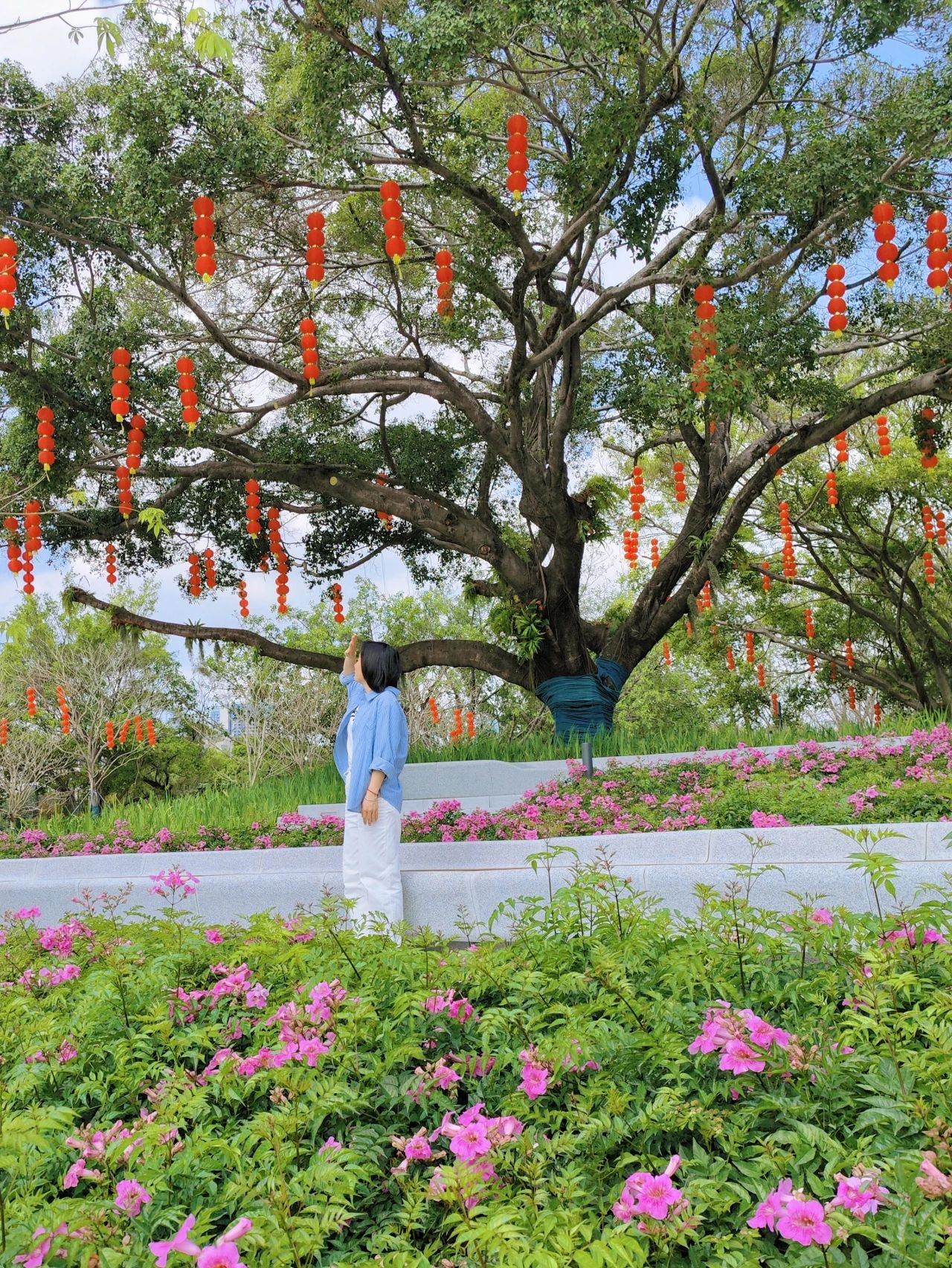 Xin'an Park, Shenzhen opened 30+ years old park