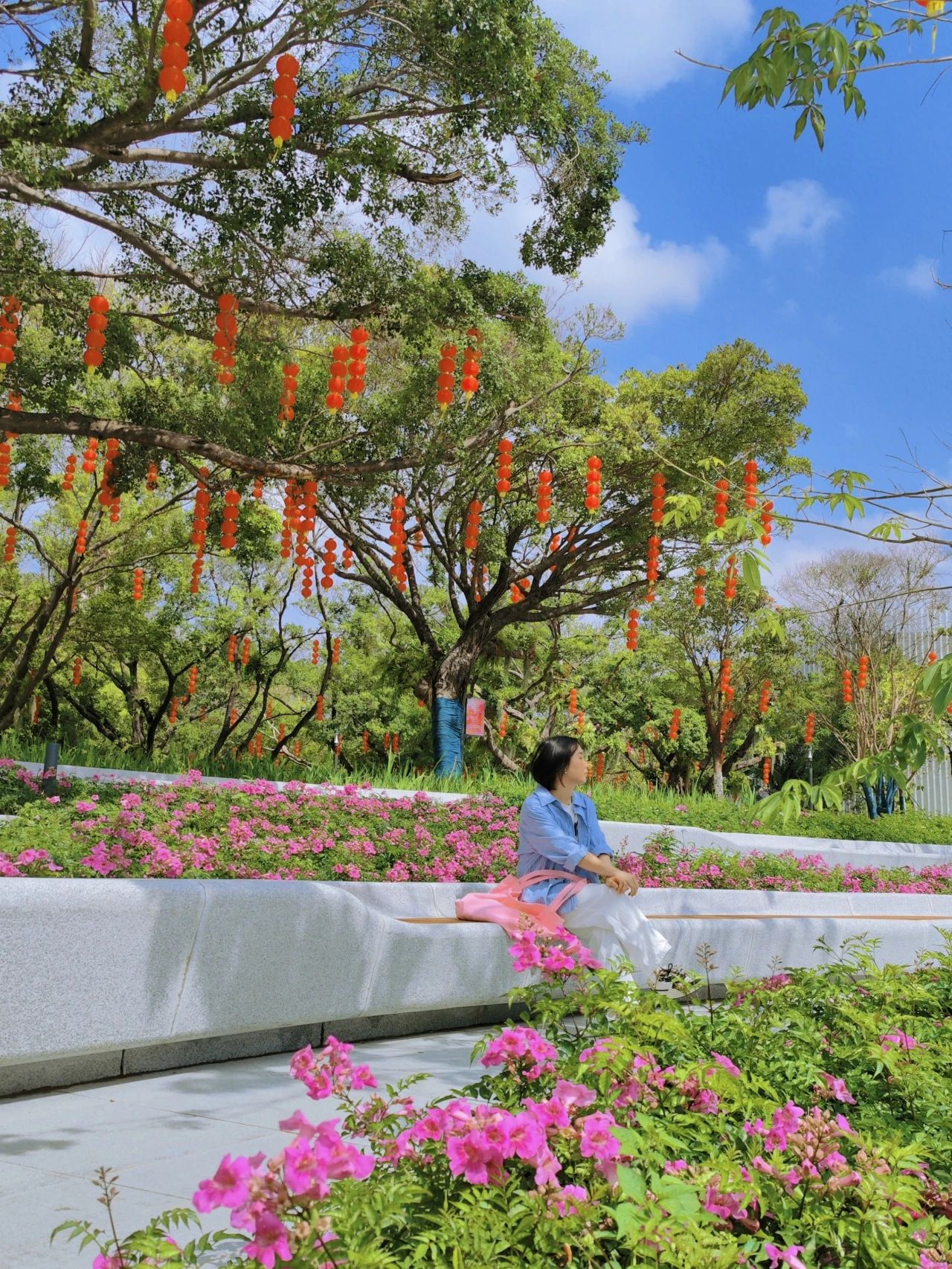 Xin'an Park, Shenzhen opened 30+ years old park