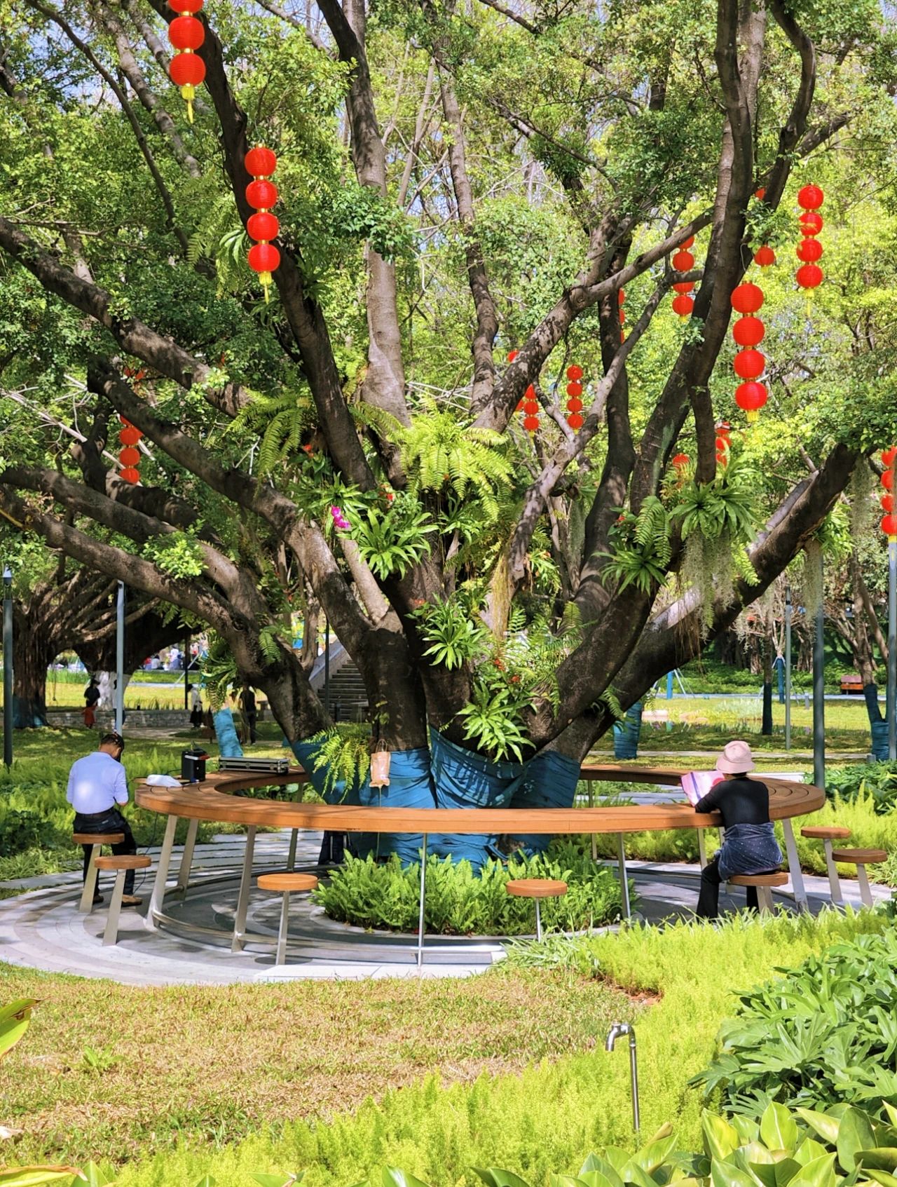 Xin'an Park, Shenzhen opened 30+ years old park