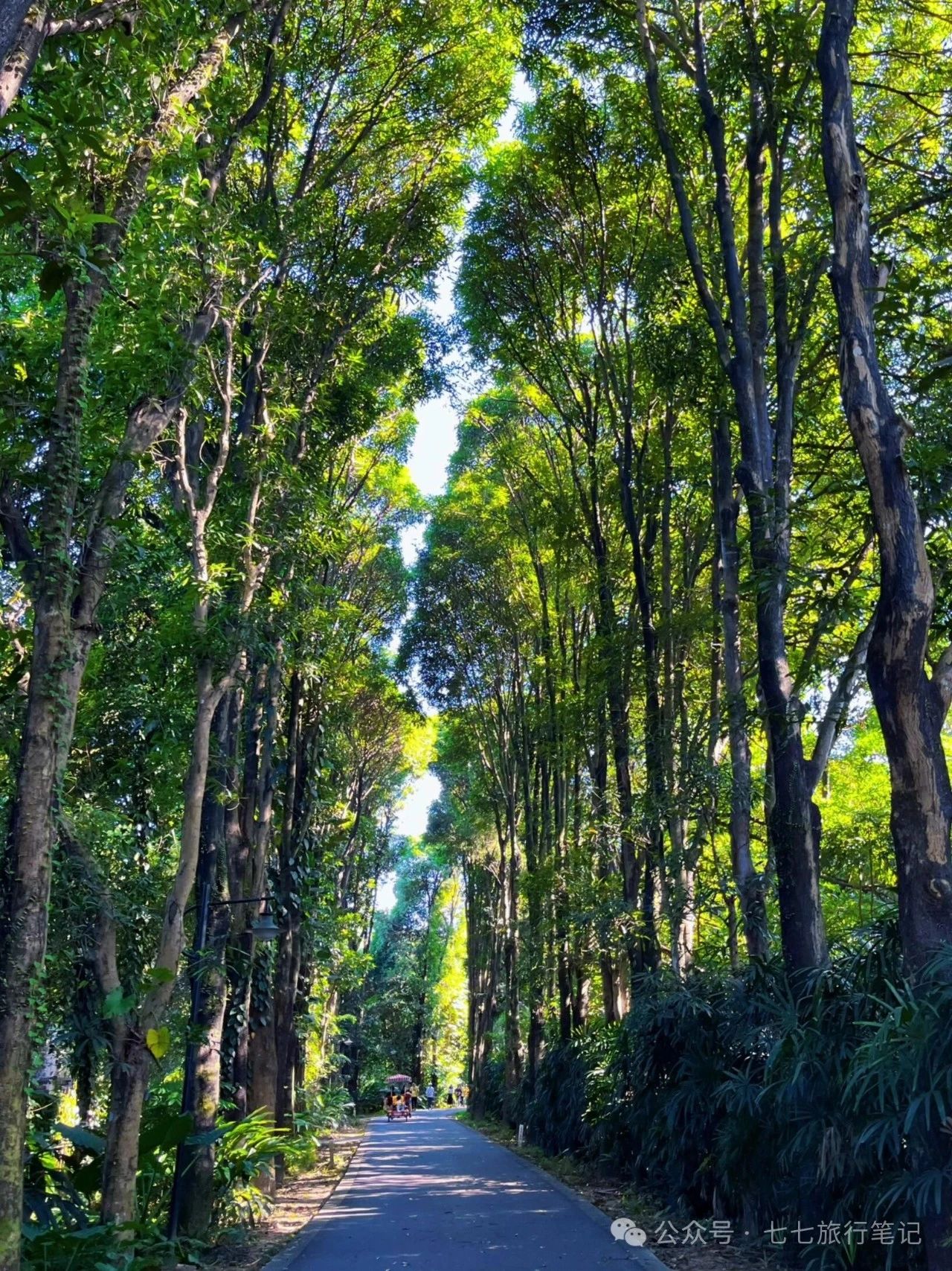 The Botanical Gardens are simply beautiful after fall!