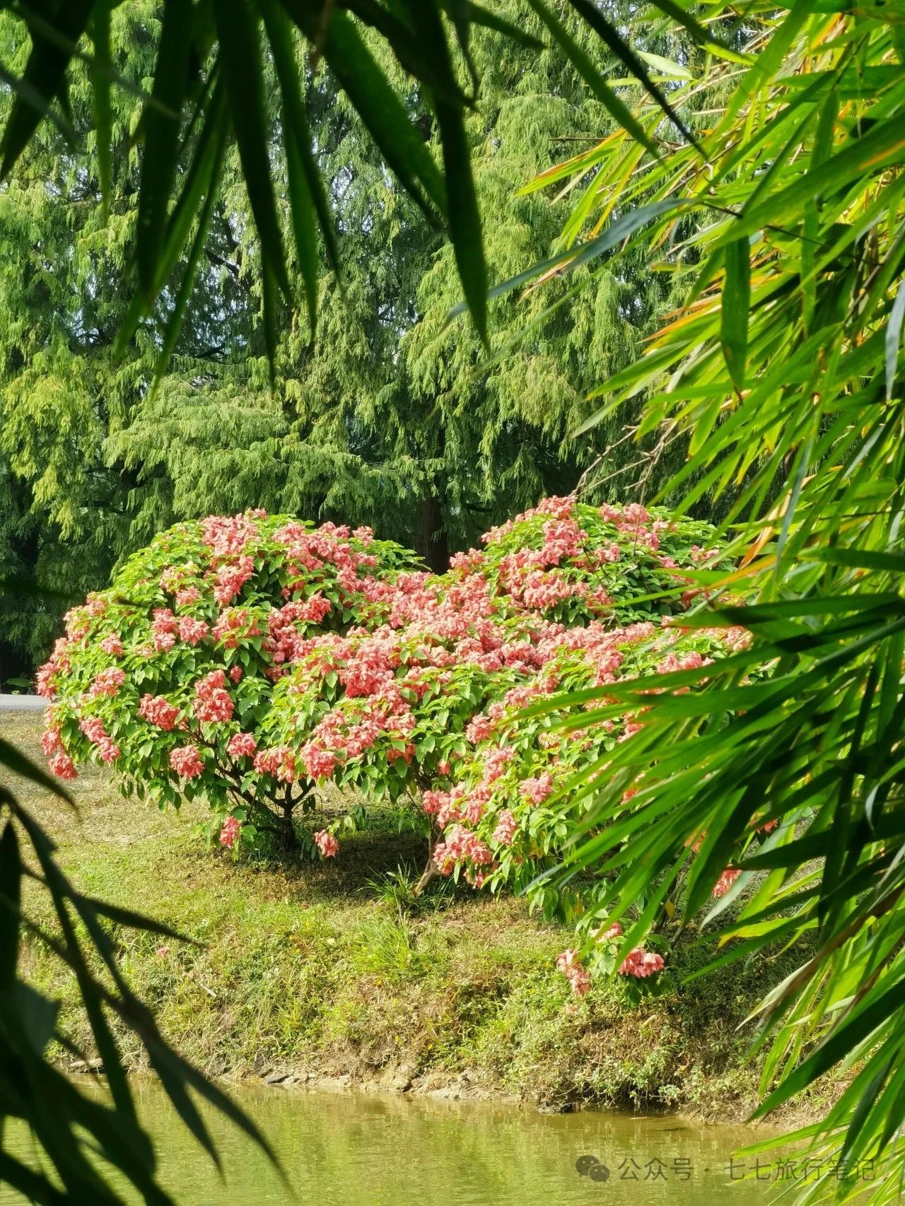 The Botanical Gardens are simply beautiful after fall!