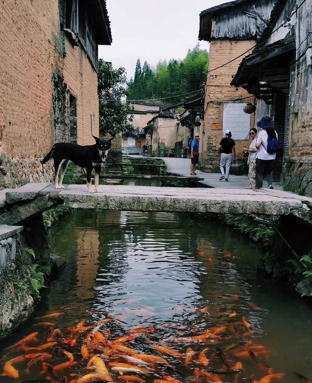 Jitou Ancient Village