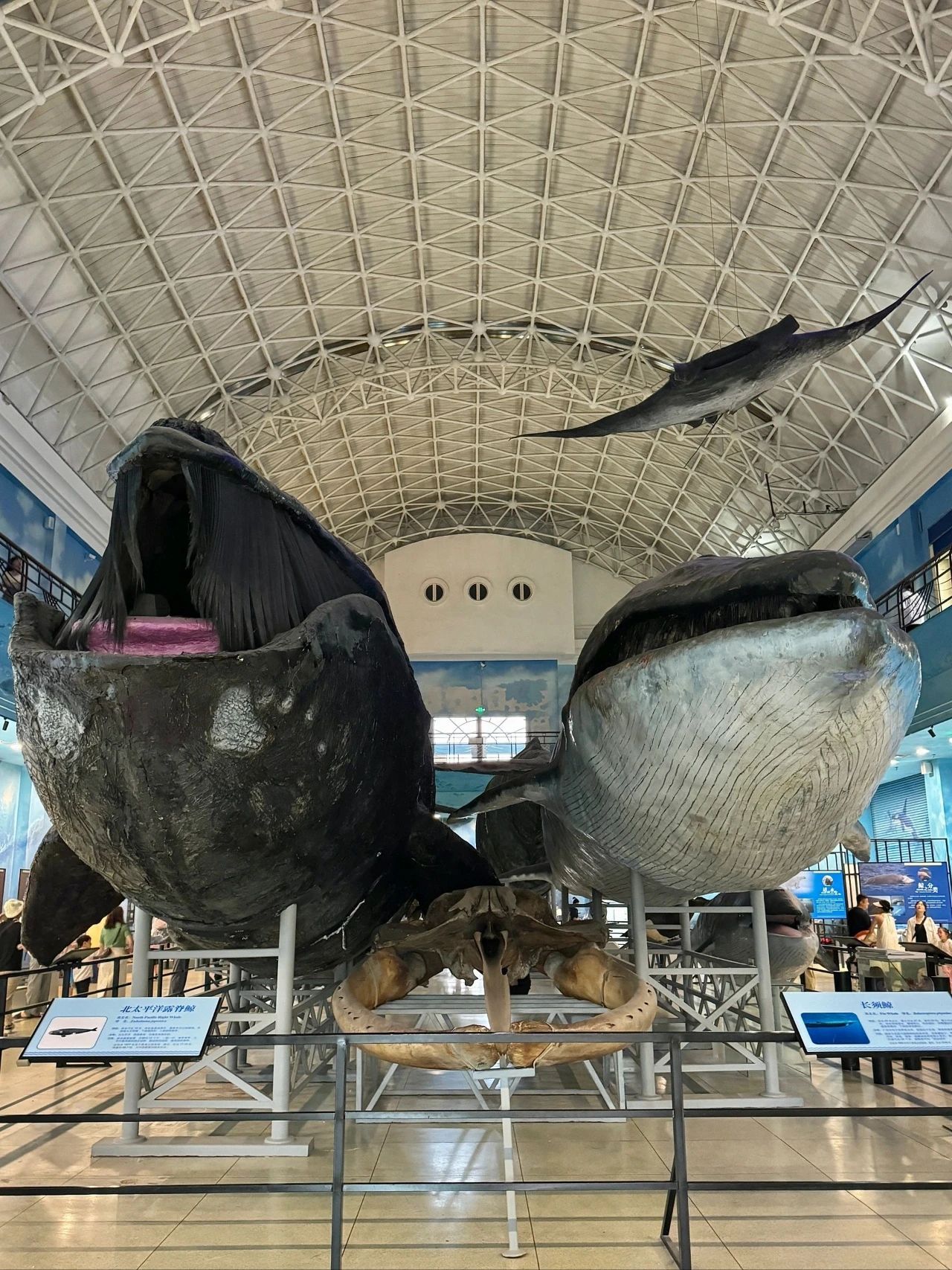 Dalian Nature Museum