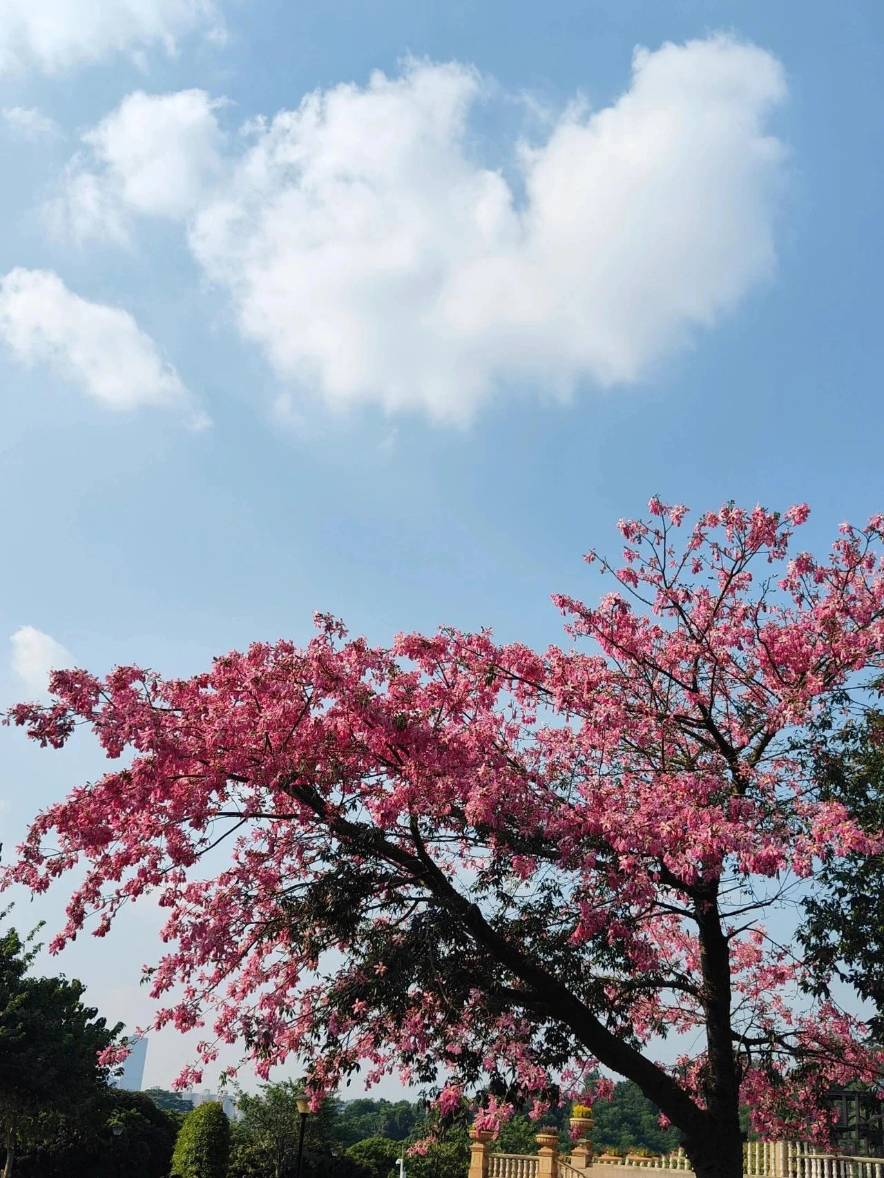 The Dongguan Botanical Garden