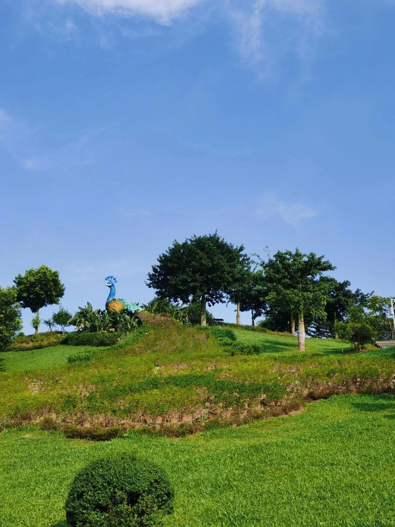 The Dongguan Botanical Garden