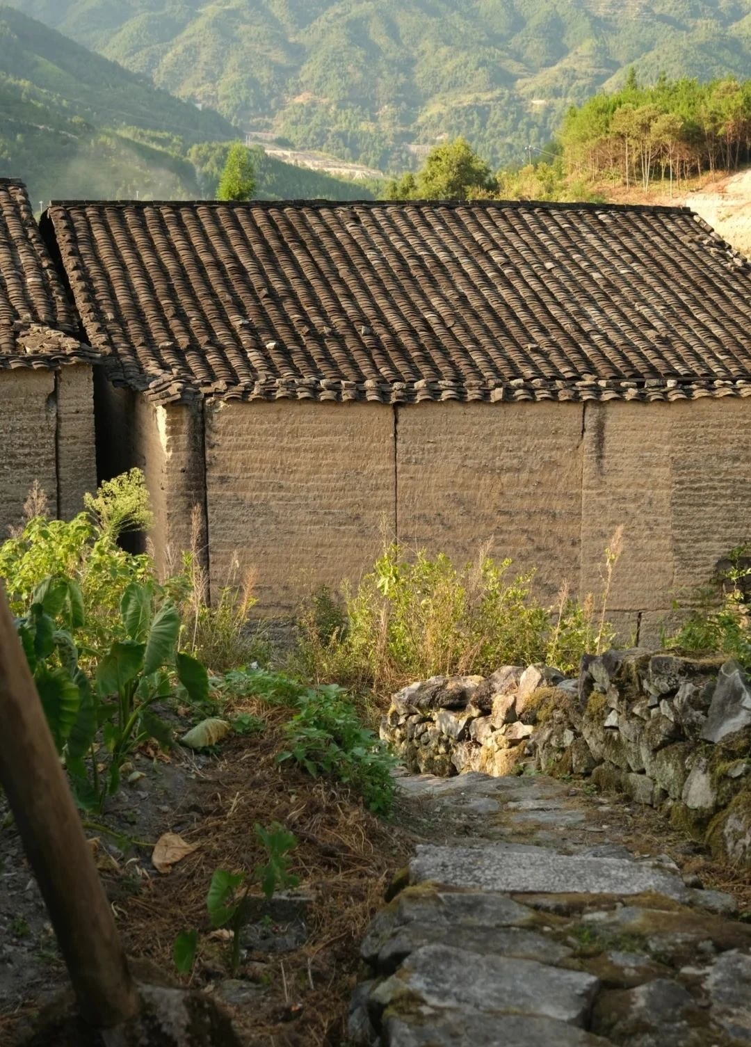 Tranquil and remote ancient village--Mingxi Village