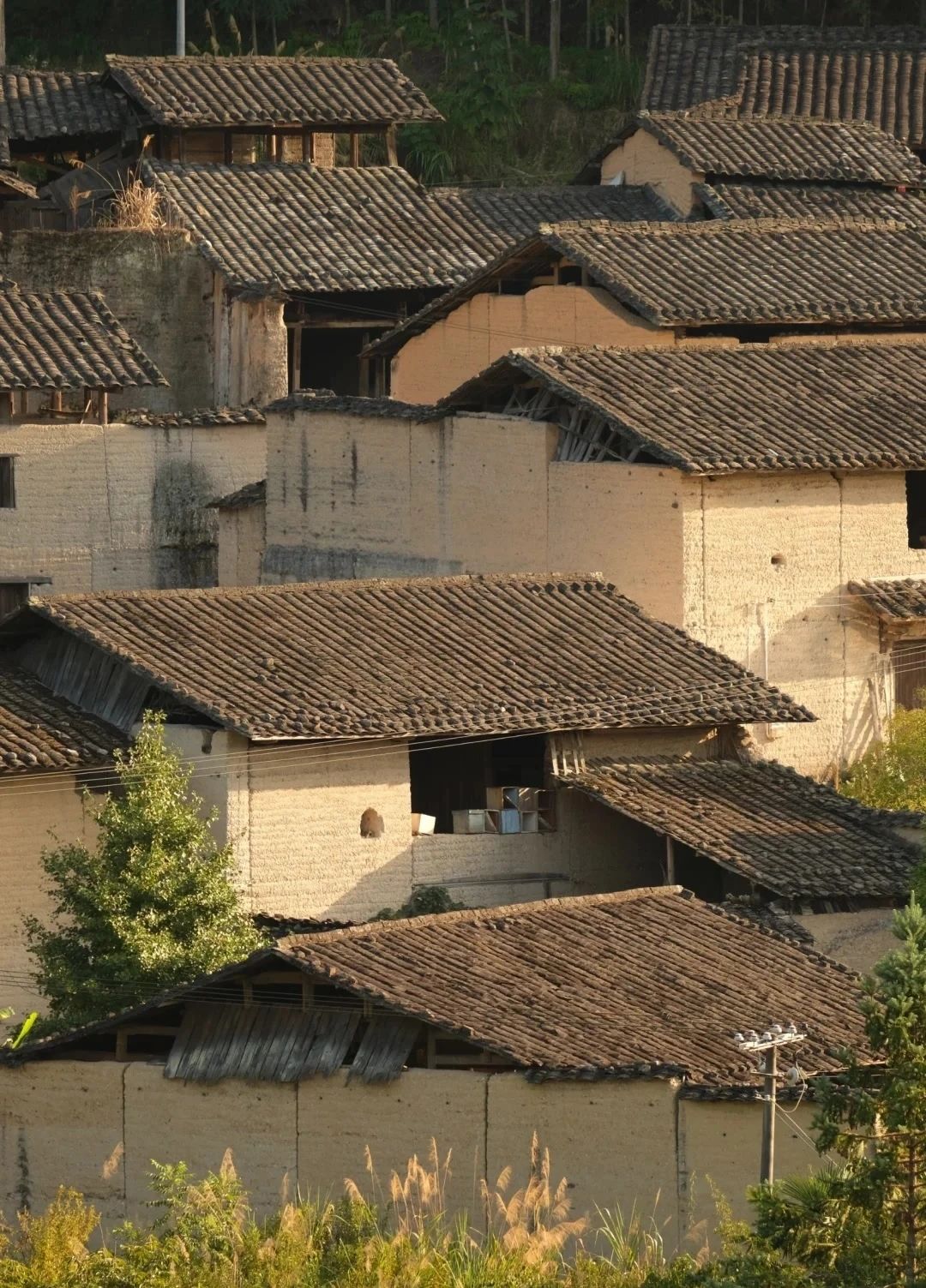 Tranquil and remote ancient village--Mingxi Village