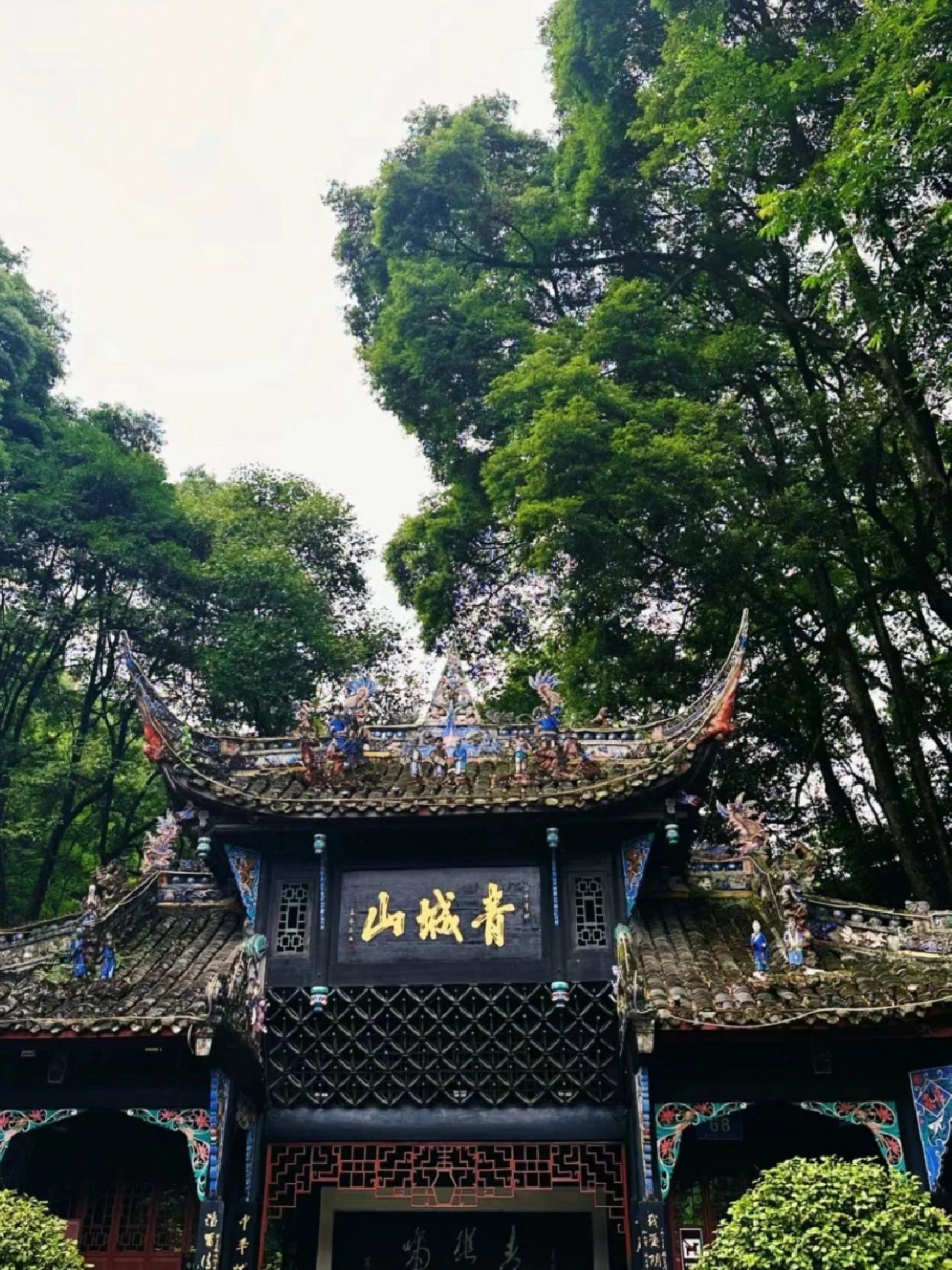 Worshiping Dujiangyan and visiting Qingcheng Mountain