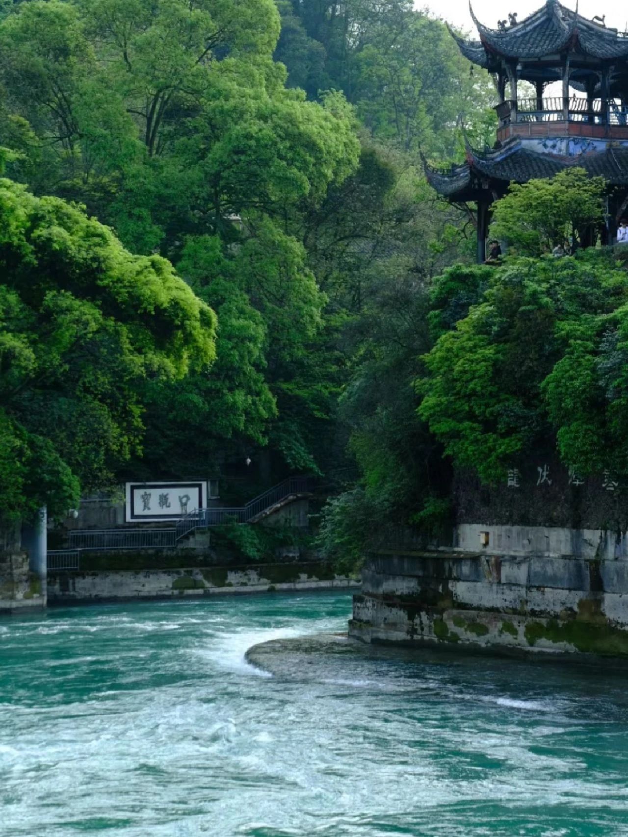 Worshiping Dujiangyan and visiting Qingcheng Mountain