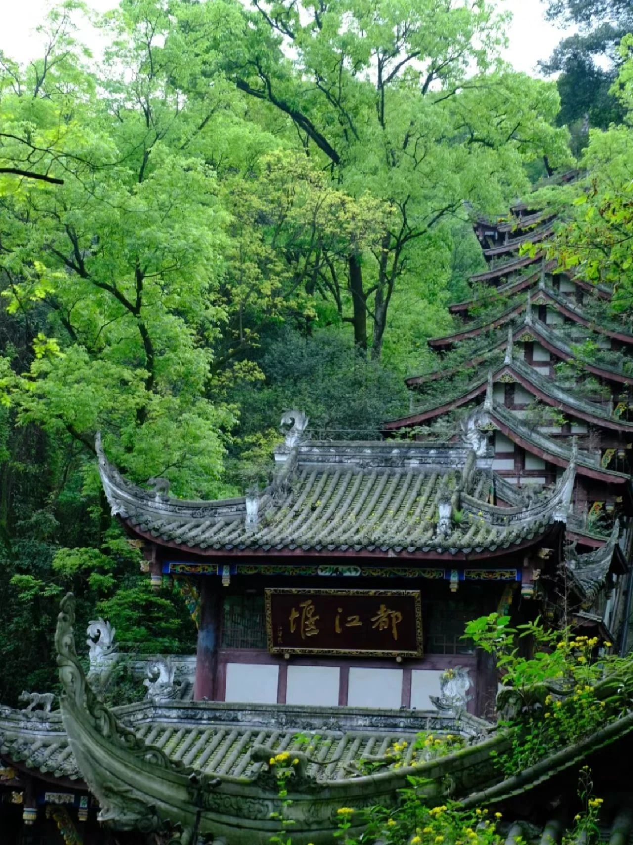 Worshiping Dujiangyan and visiting Qingcheng Mountain