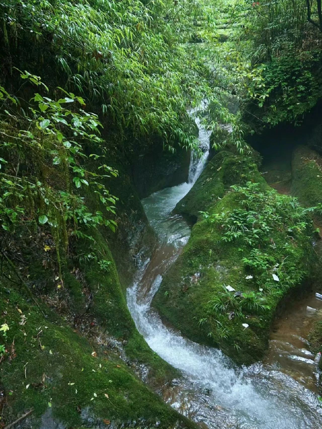 Worshiping Dujiangyan and visiting Qingcheng Mountain