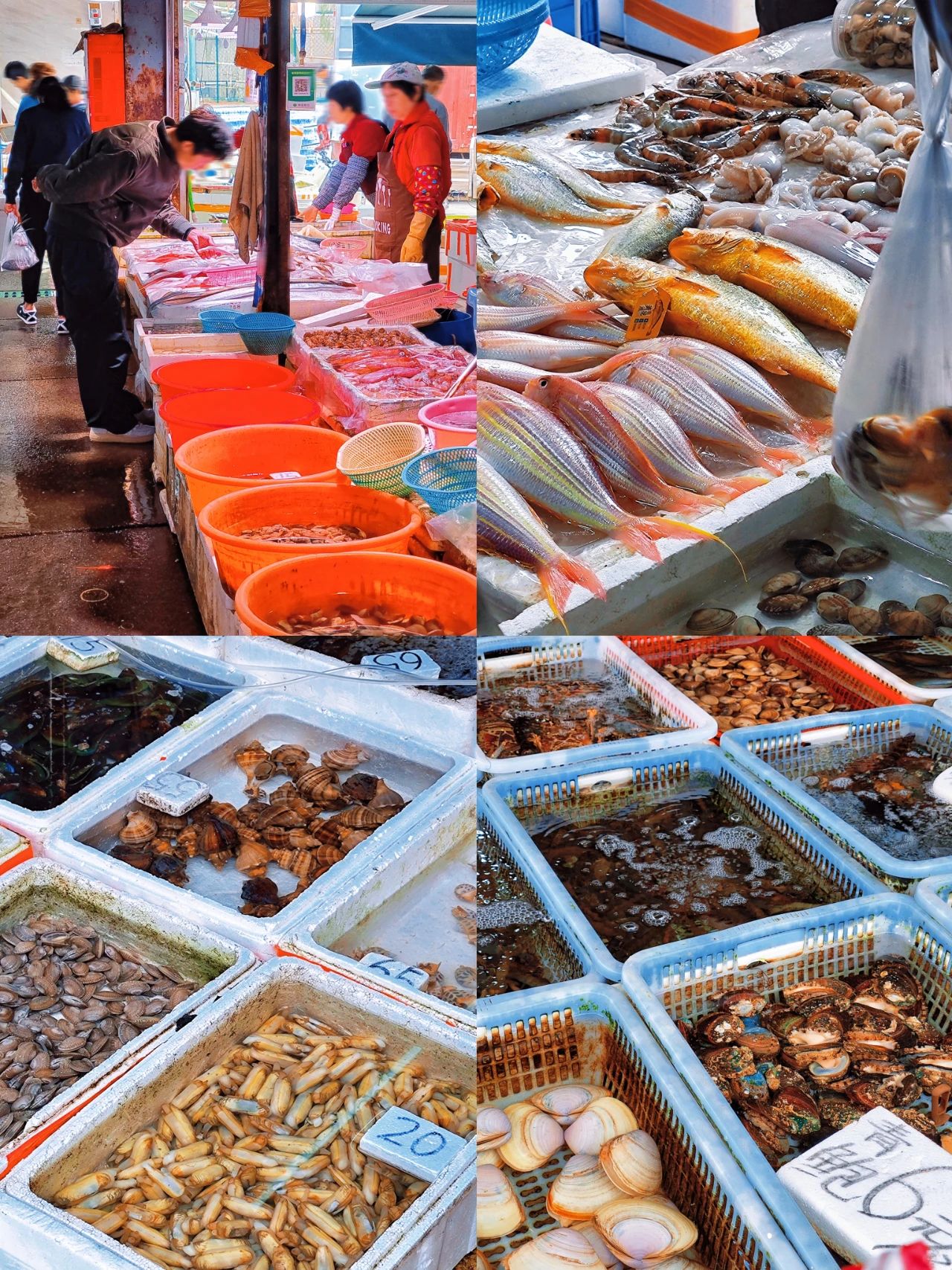 Shenzhen Xujia Fishing Village