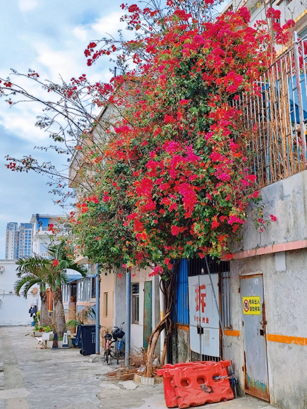 Shenzhen Xujia Fishing Village