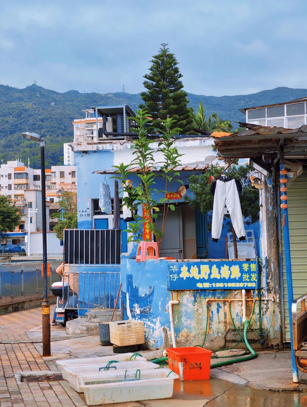 Shenzhen Xujia Fishing Village