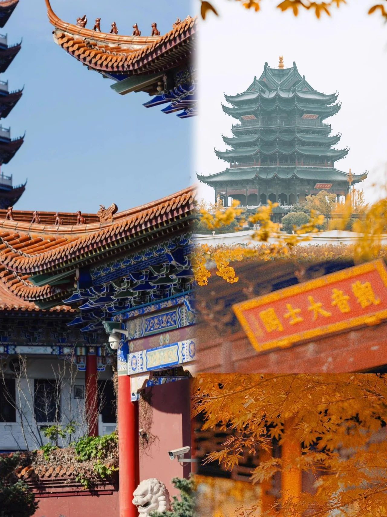 Yangcheng Lake in autumn is a spiritual oasis for Suzhou people