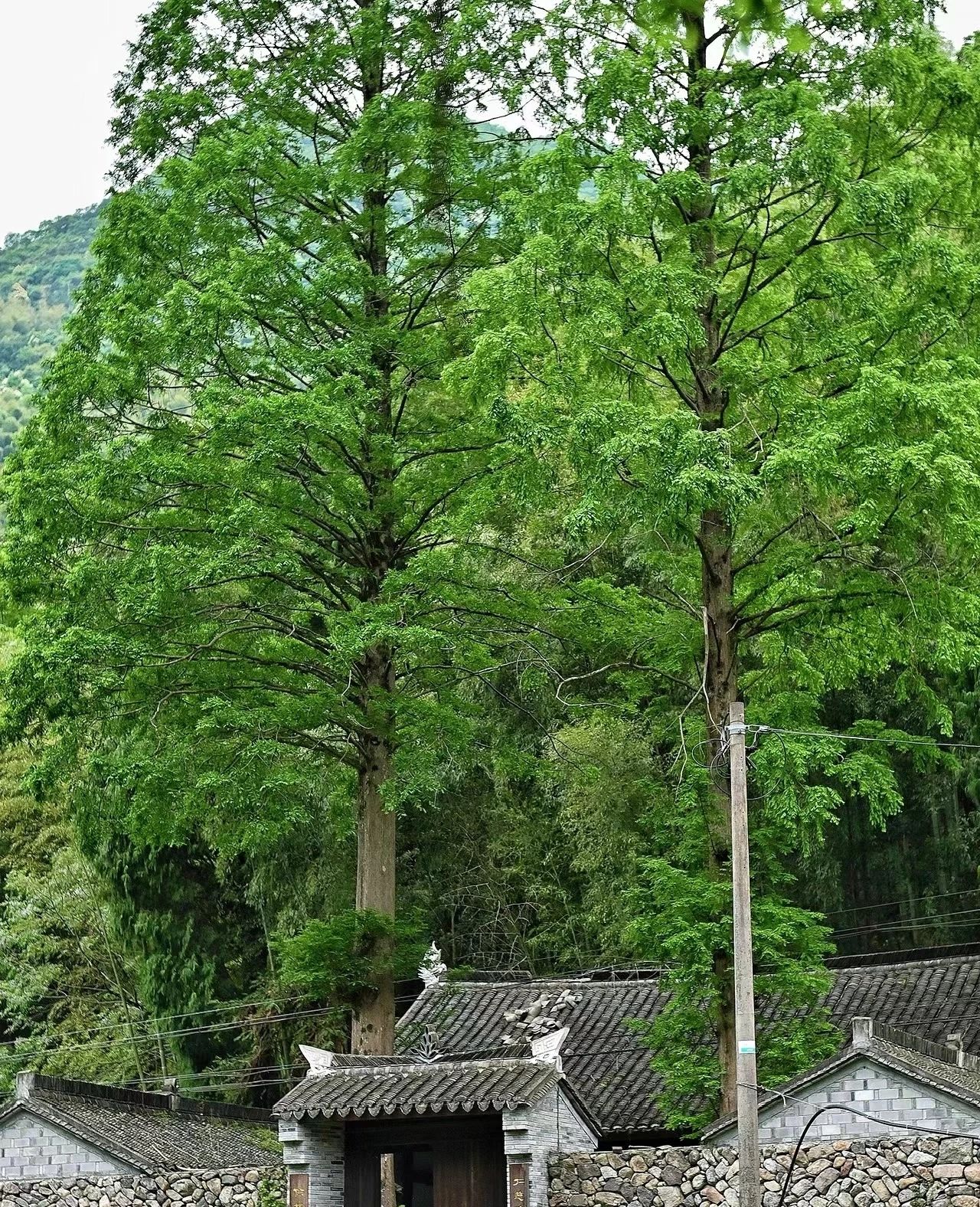 Ancient villages with beautiful scenery--Laodiluo Village