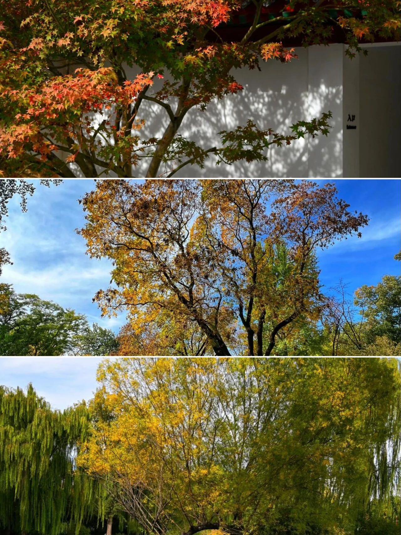 Zizhuyuan Park in autumn