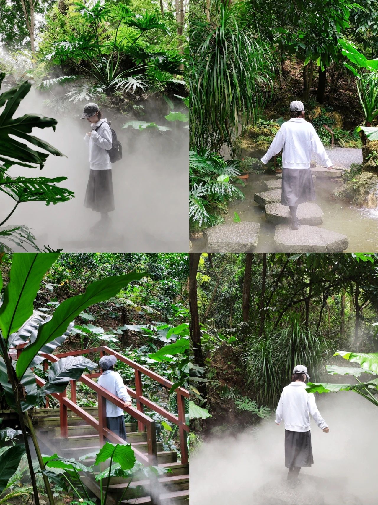 Not in Hangzhou, in Shenzhen ‼️ Botanical Garden niche photo place, as if Alice in Wonderland