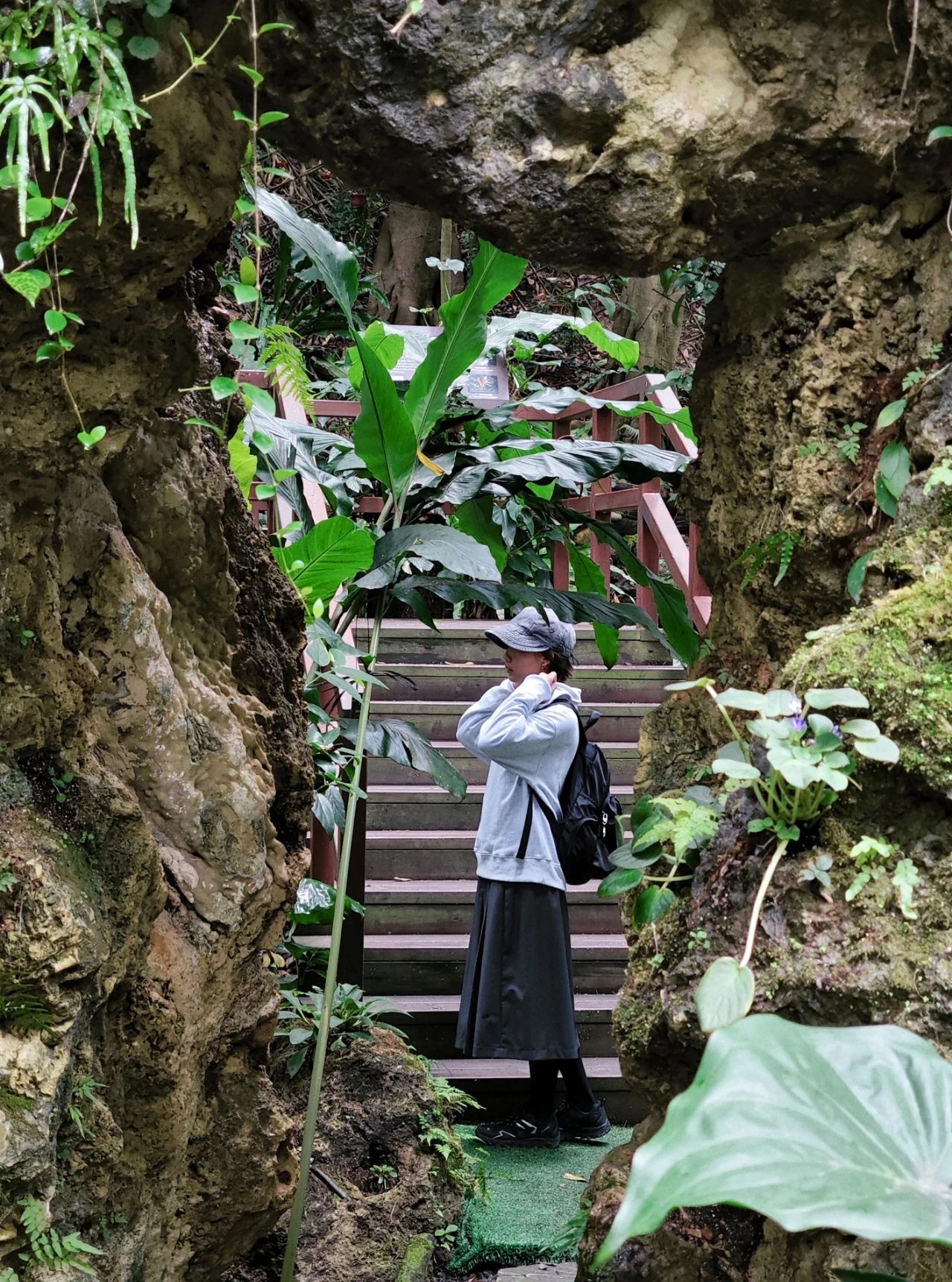 Xianhu Botanical Garden - Chicory Moss Garden