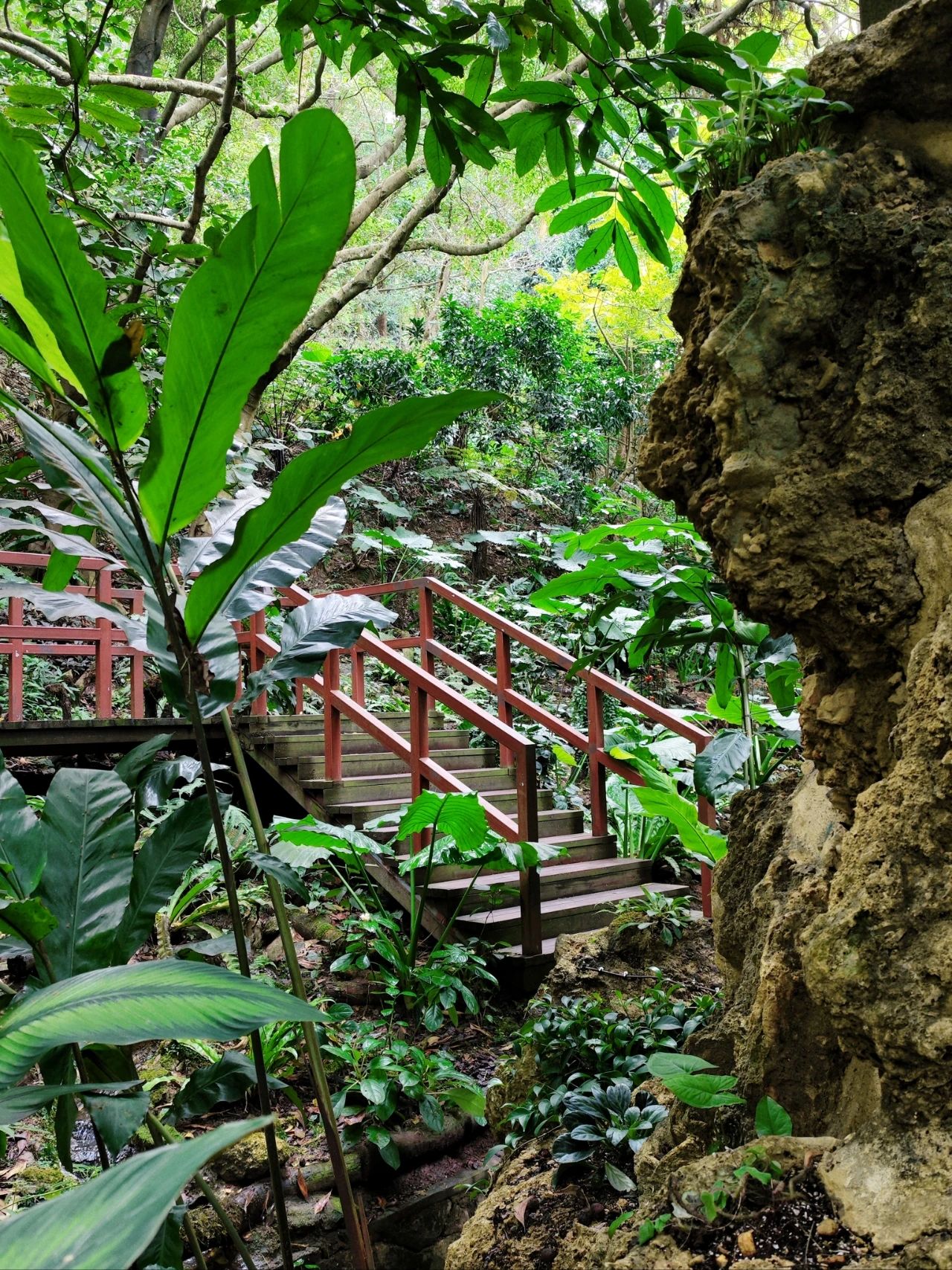 Xianhu Botanical Garden - Chicory Moss Garden