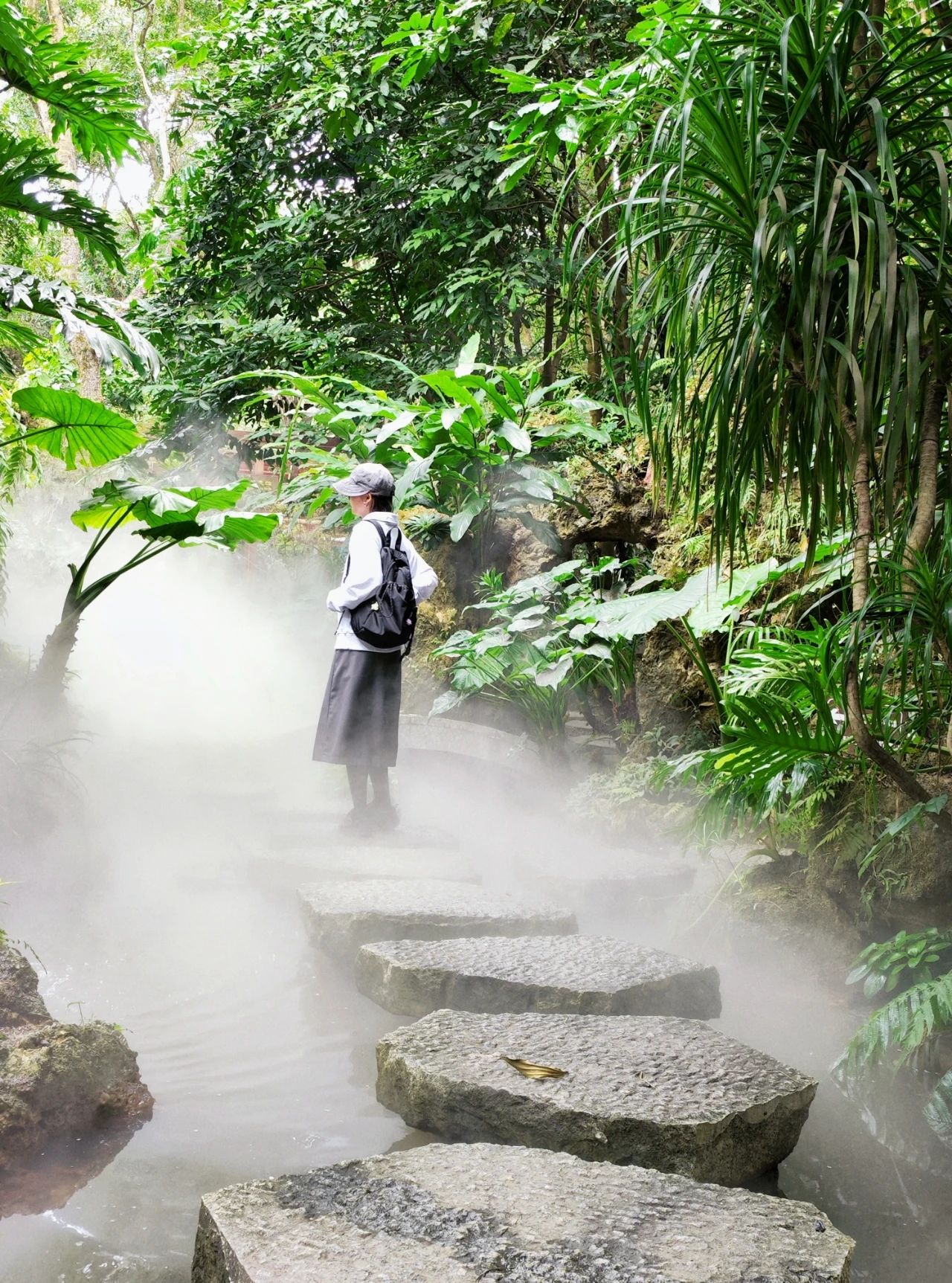 Xianhu Botanical Garden - Chicory Moss Garden