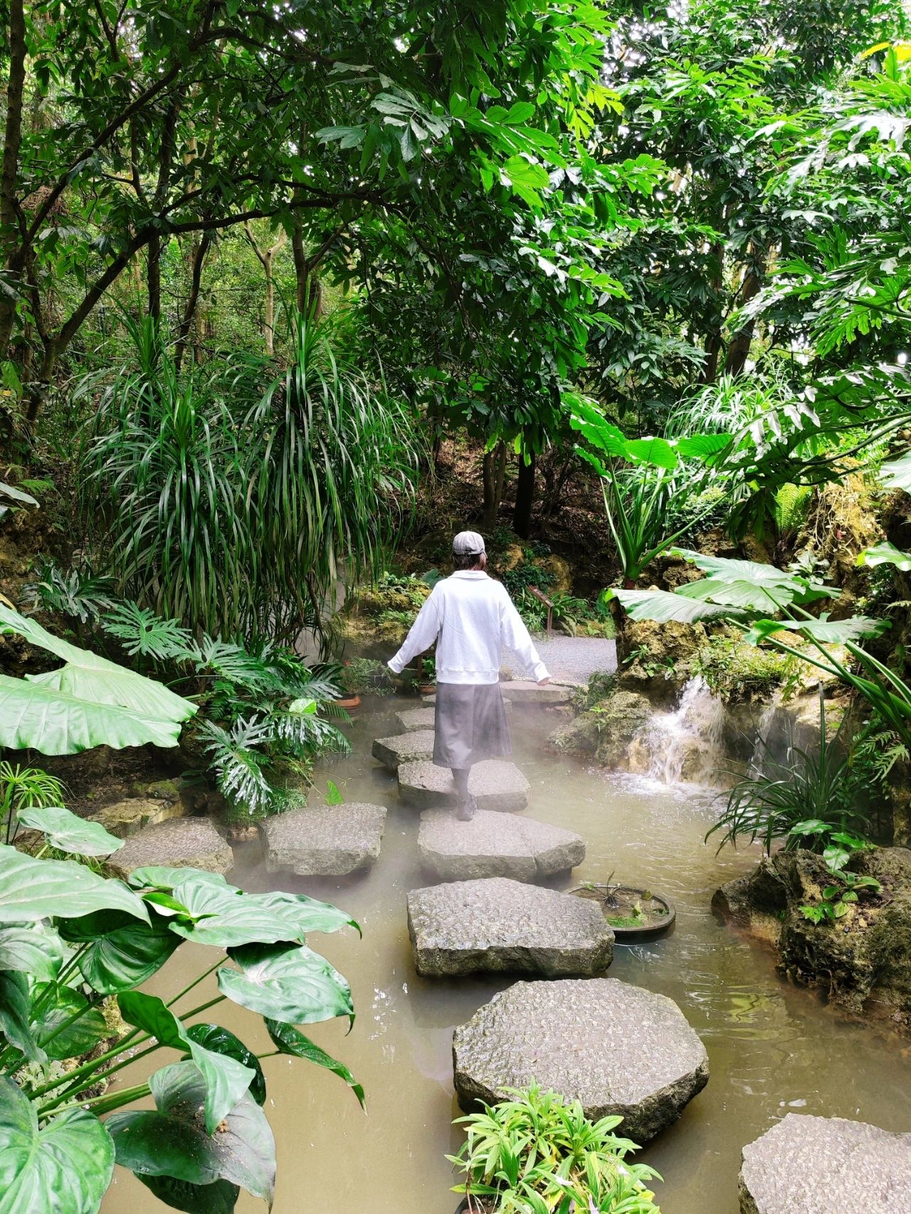 Xianhu Botanical Garden - Chicory Moss Garden