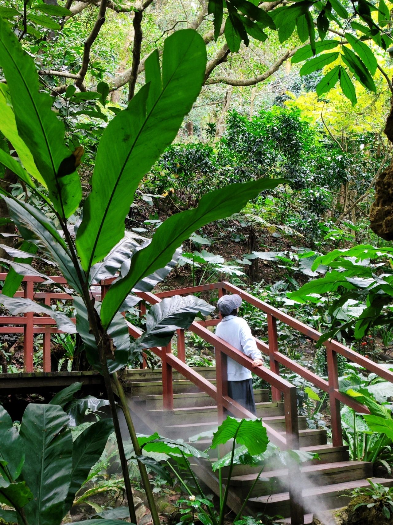 Xianhu Botanical Garden - Chicory Moss Garden